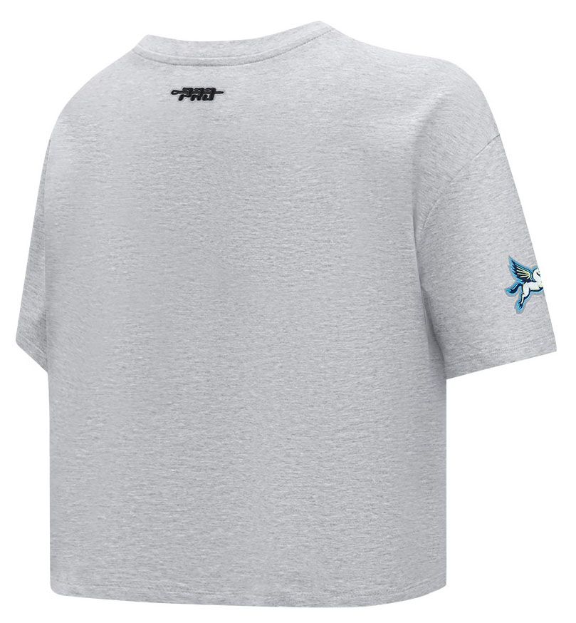 Pro Standard Girls' Dallas Wings Heather Grey Paradise Boxy T-Shirt product image