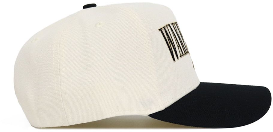No Rivals Adult Wake Forest Demon Deacons Black Retro Snapback Adjustable Hat product image