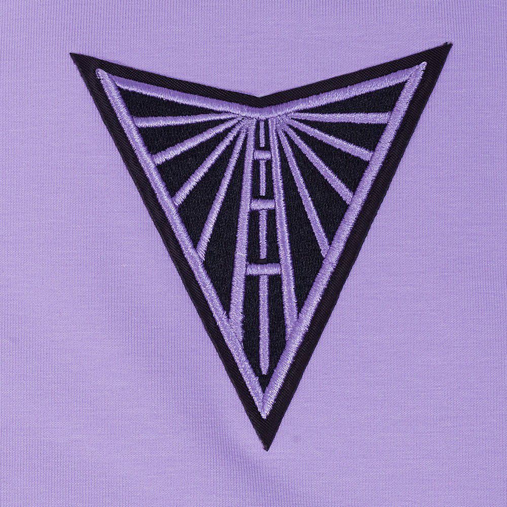 Pro Standard Women's Golden State Valkyries Lilac Wingspan Boxy T-Shirt product image