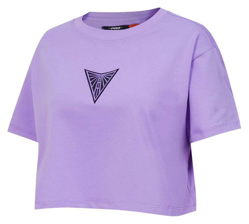 Pro Standard Women's Golden State Valkyries Lilac Wingspan Boxy T-Shirt product image
