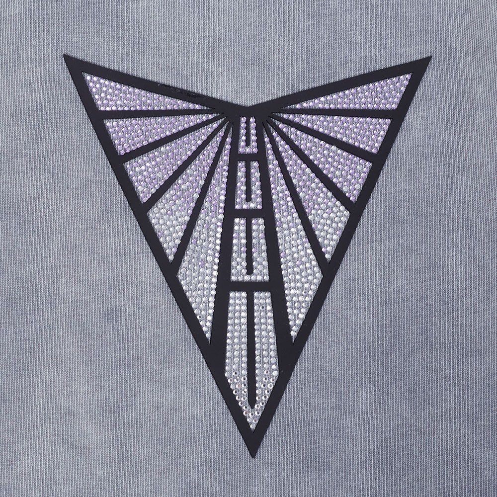 Pro Standard Women's Golden State Valkyries Washed Grey Washed Jewel Boxy T-Shirt product image