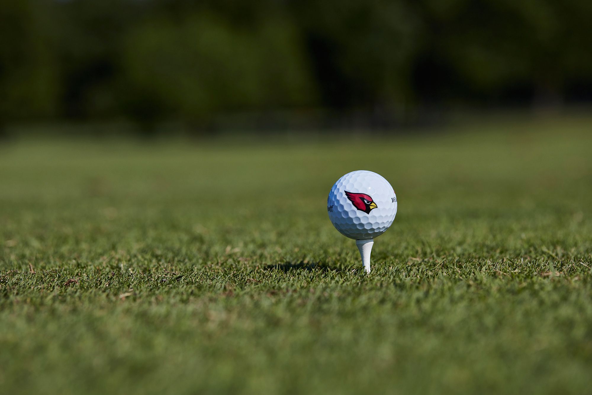 Wilson  Duo Soft Arizona Cardinals Golf Balls product image