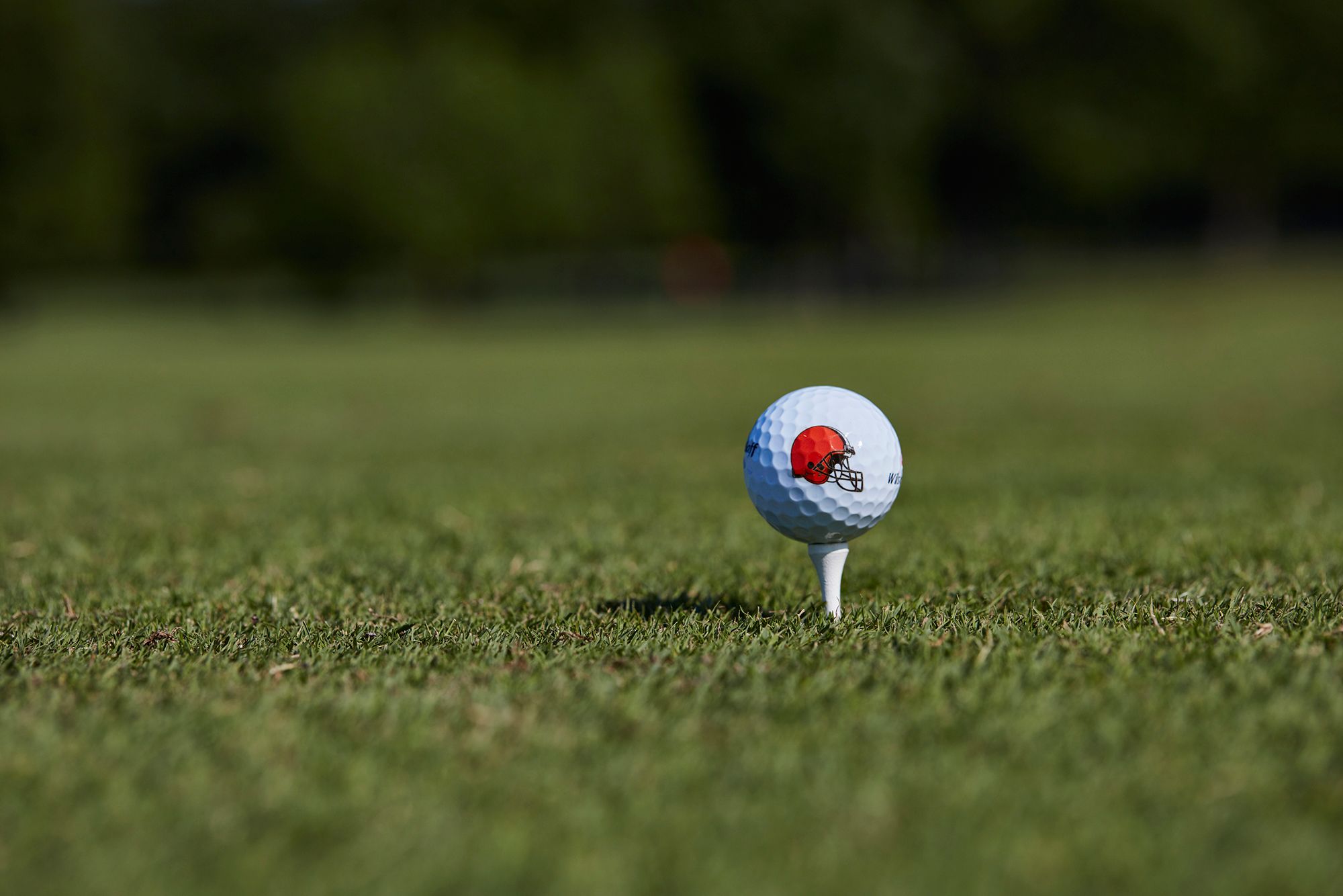 Wilson Duo Soft Cleveland Browns Golf Balls product image