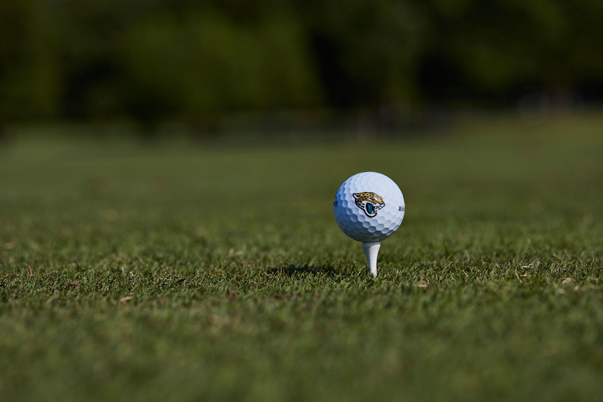 Wilson Duo Soft Jacksonville Jaguars Golf Balls product image