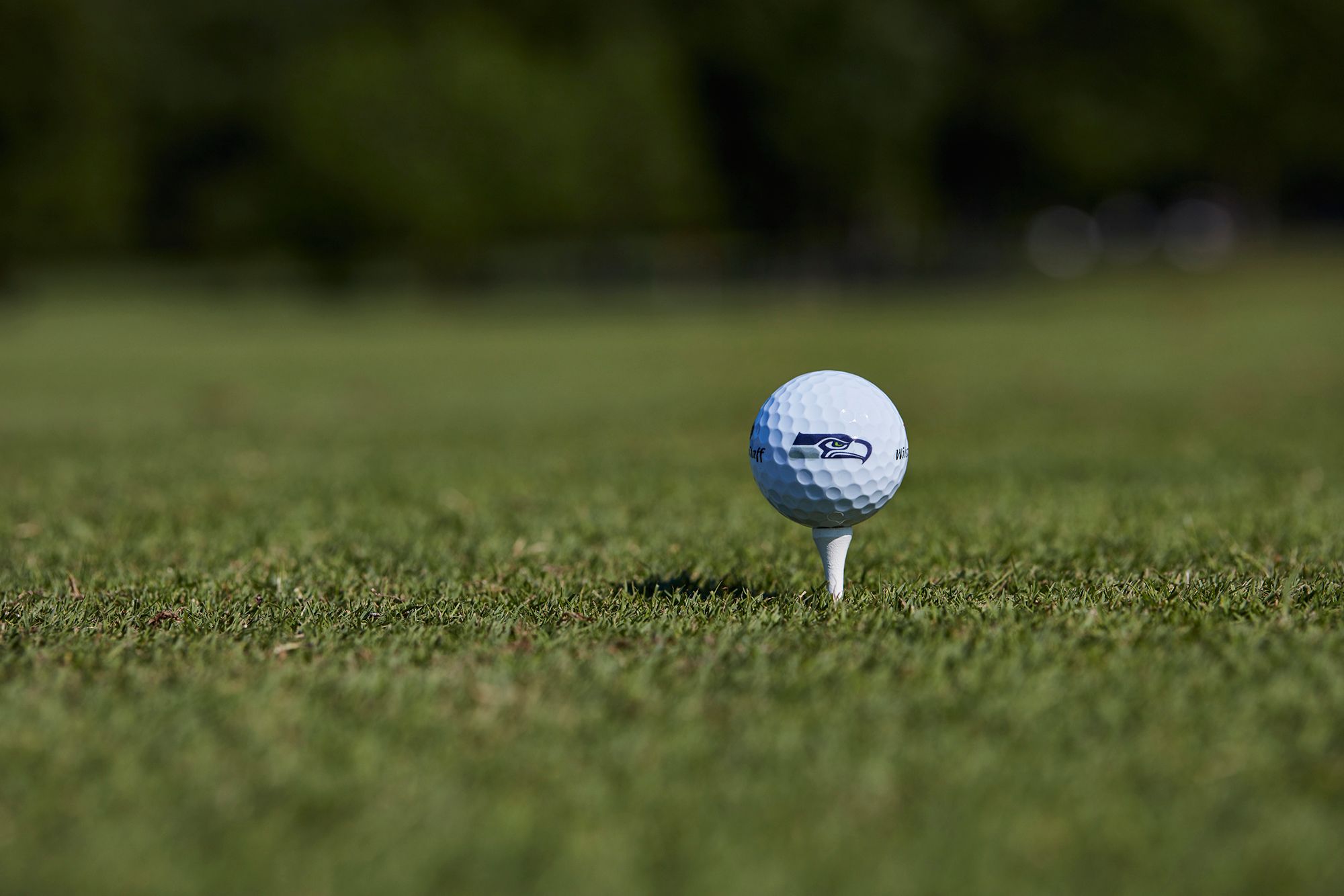 Wilson Duo Soft Seattle Seahawks Golf Balls product image