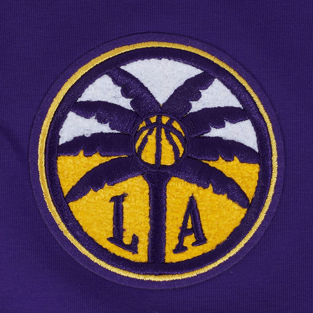 Pro Standard Women's Los Angeles Sparks Purple Boxy T-Shirt product image