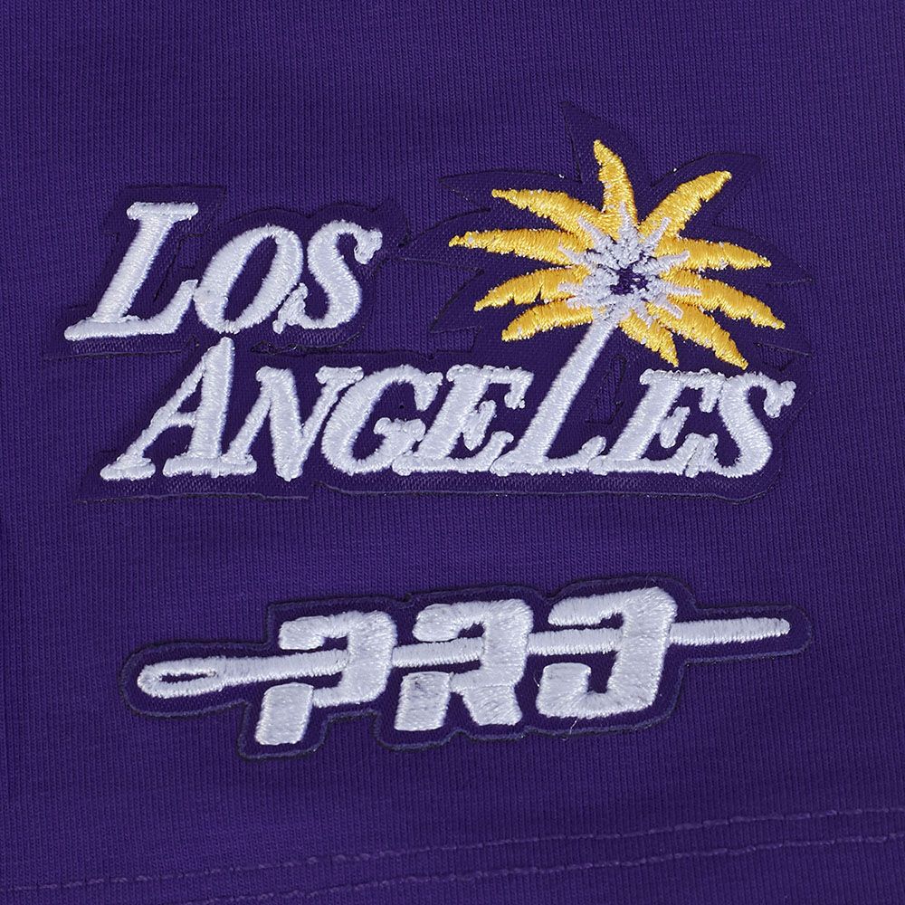 Pro Standard Women's Los Angeles Sparks Purple Boxy T-Shirt product image