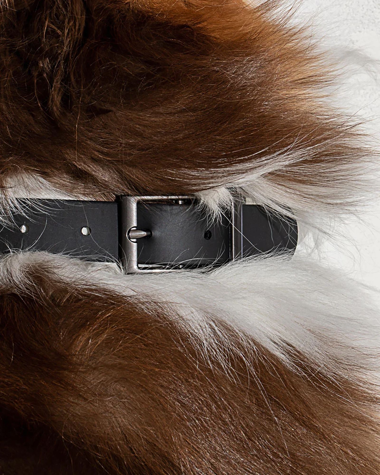 Wild One Adjustable Dog Collar product image