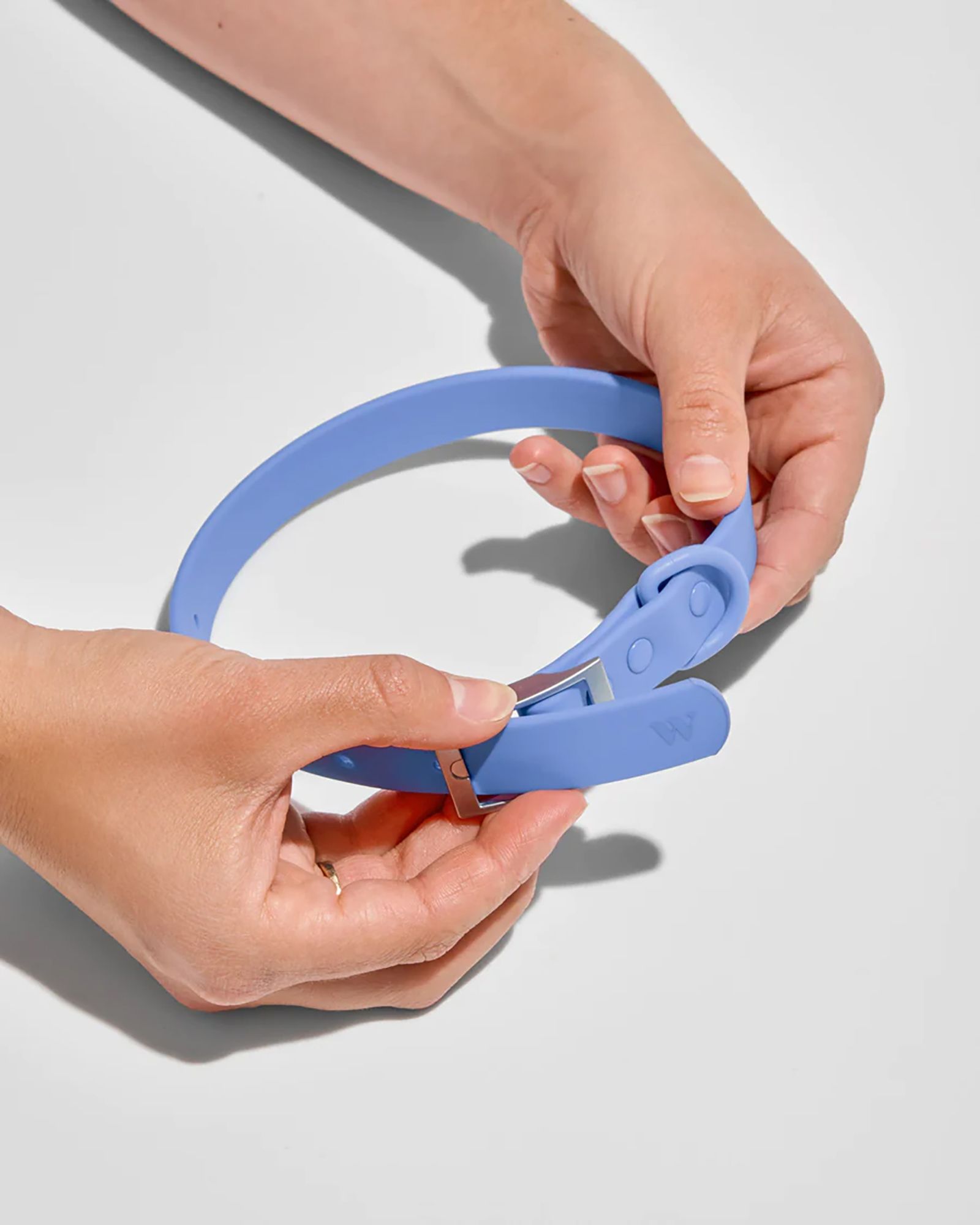 Wild One Adjustable Dog Collar product image