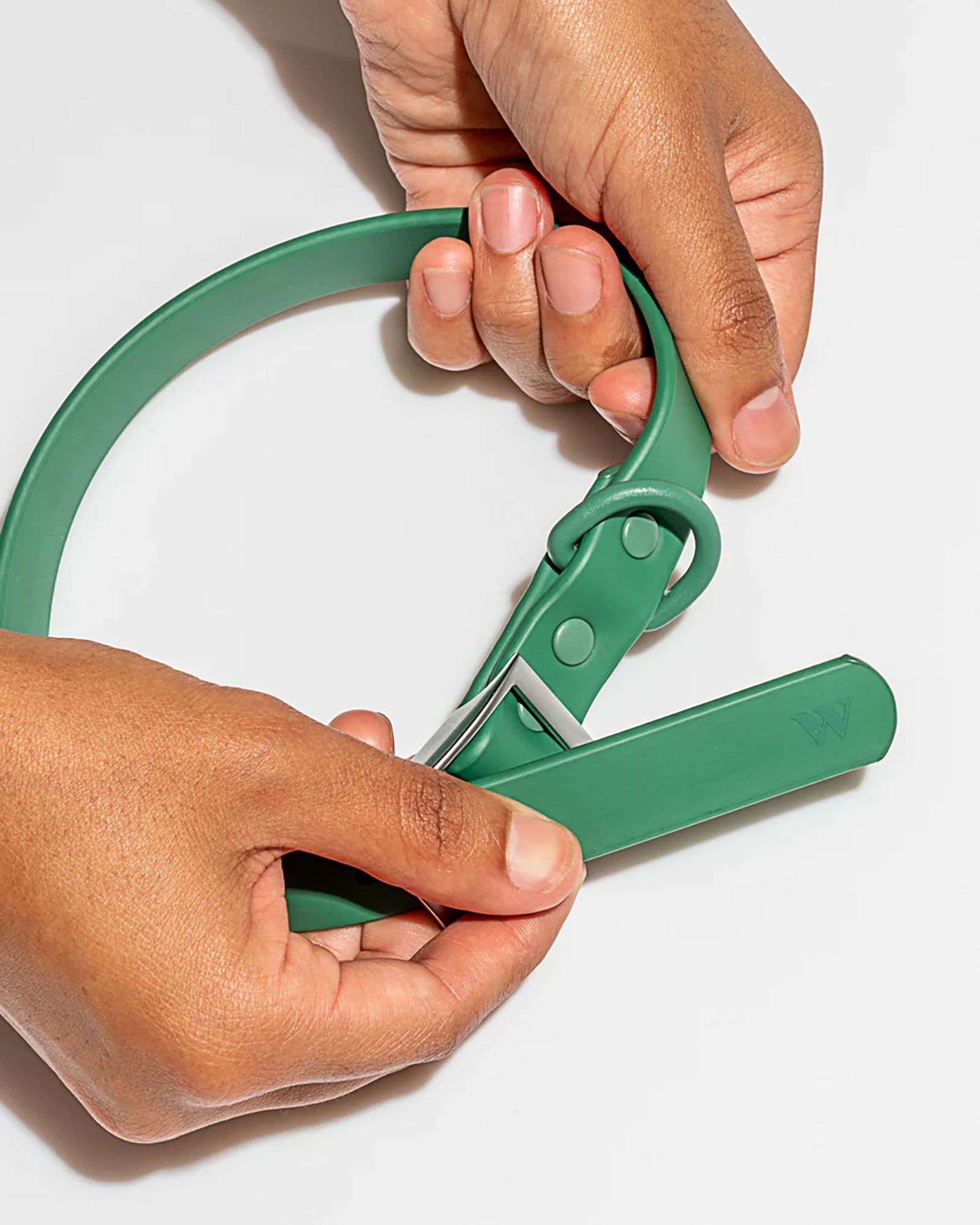 Wild One Adjustable Dog Collar product image