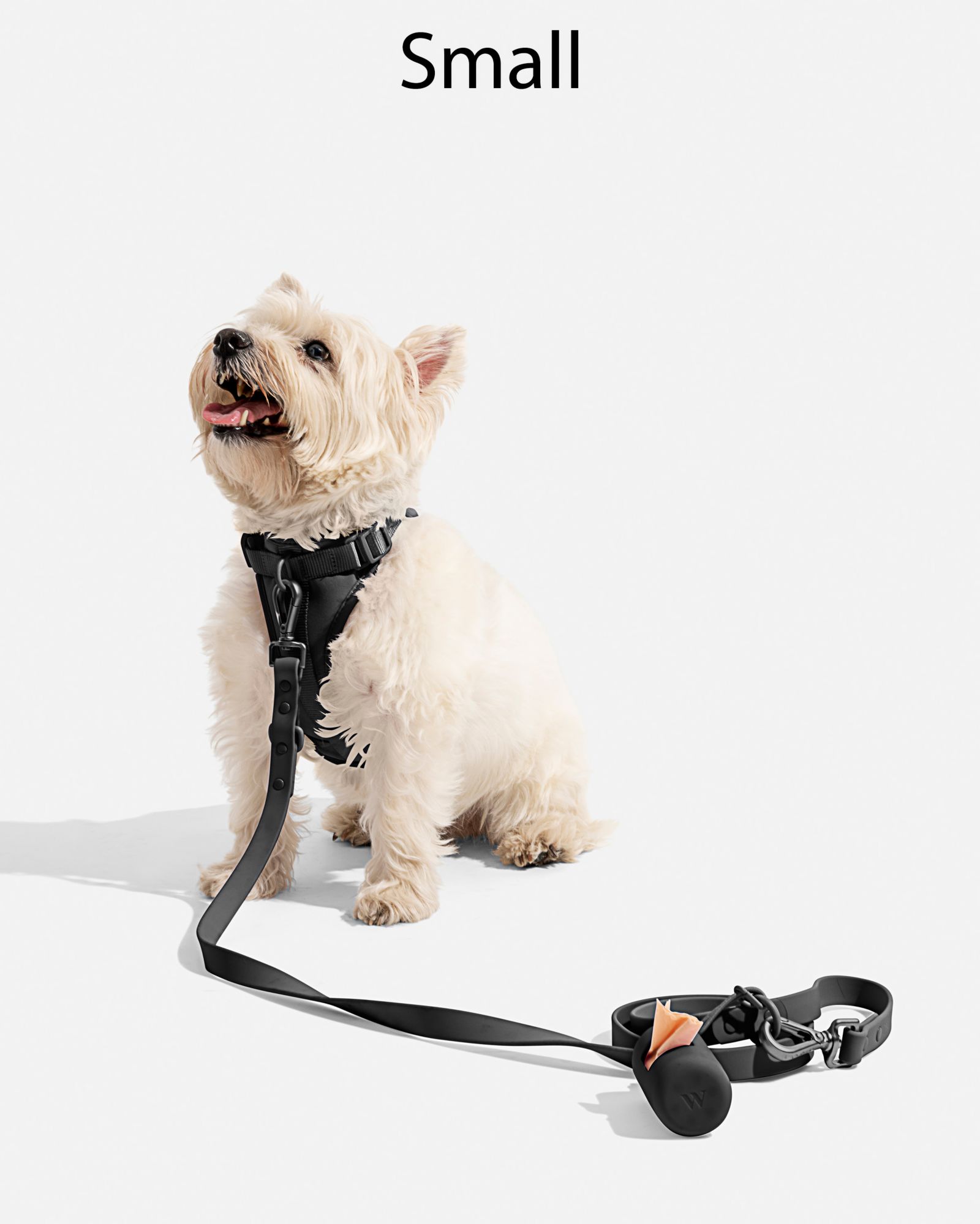 Wild One Adjustable Cushioned Dog Harness product image
