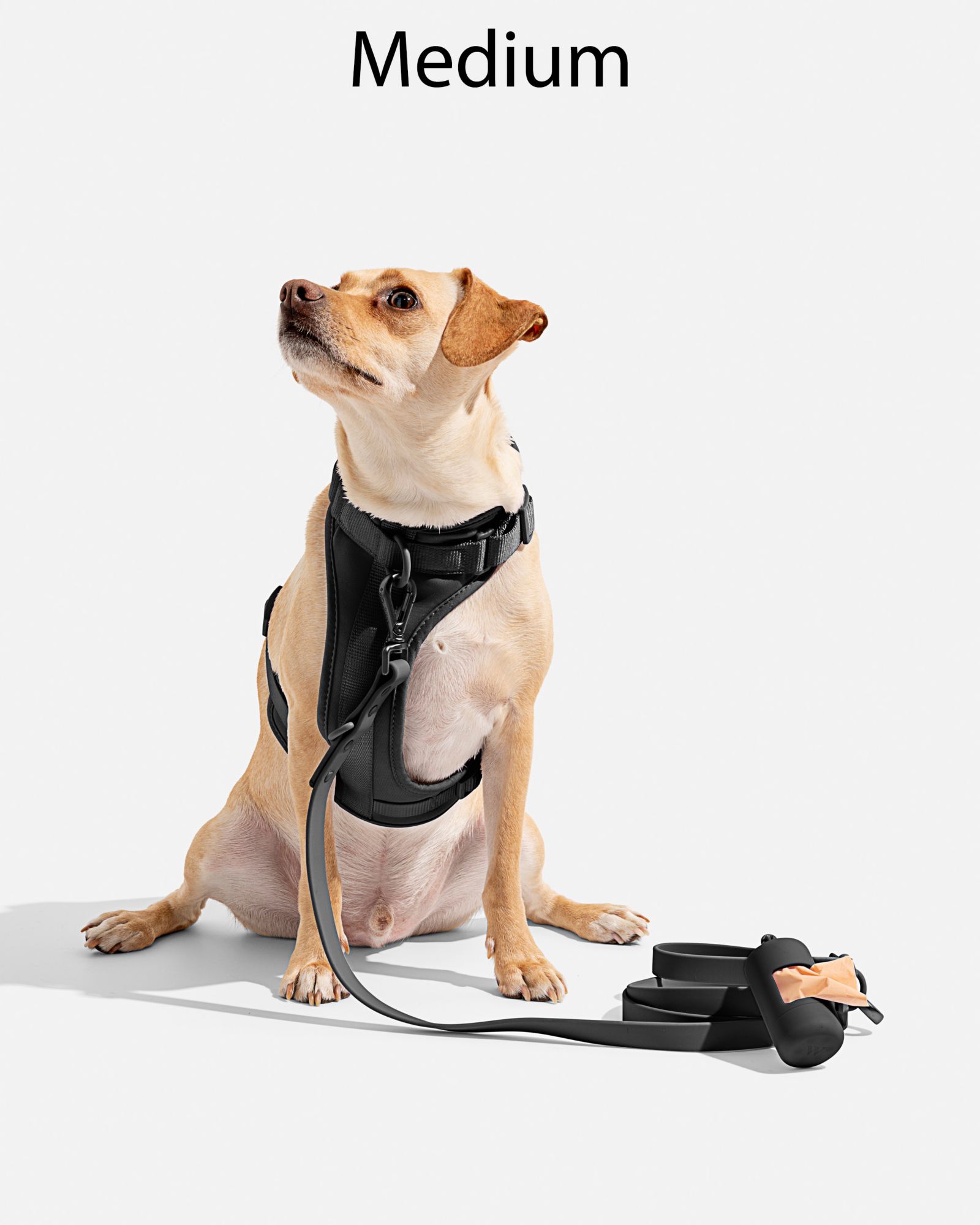 Wild One Adjustable Cushioned Dog Harness product image