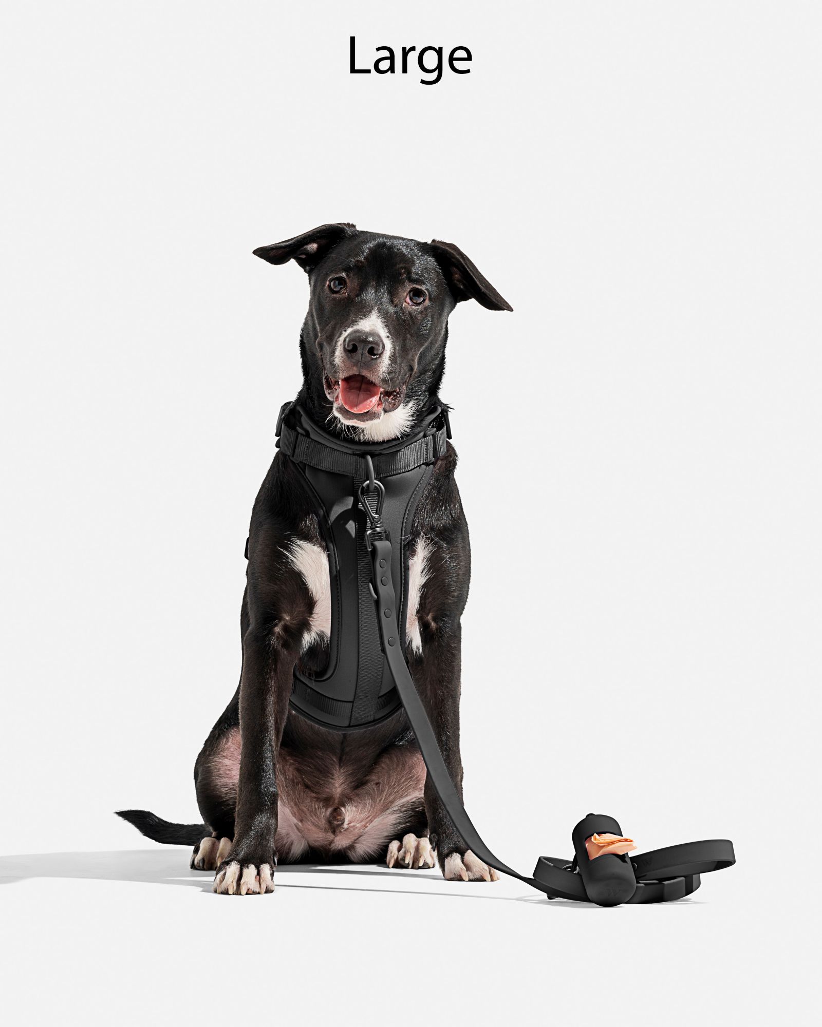 Wild One Adjustable Cushioned Dog Harness product image