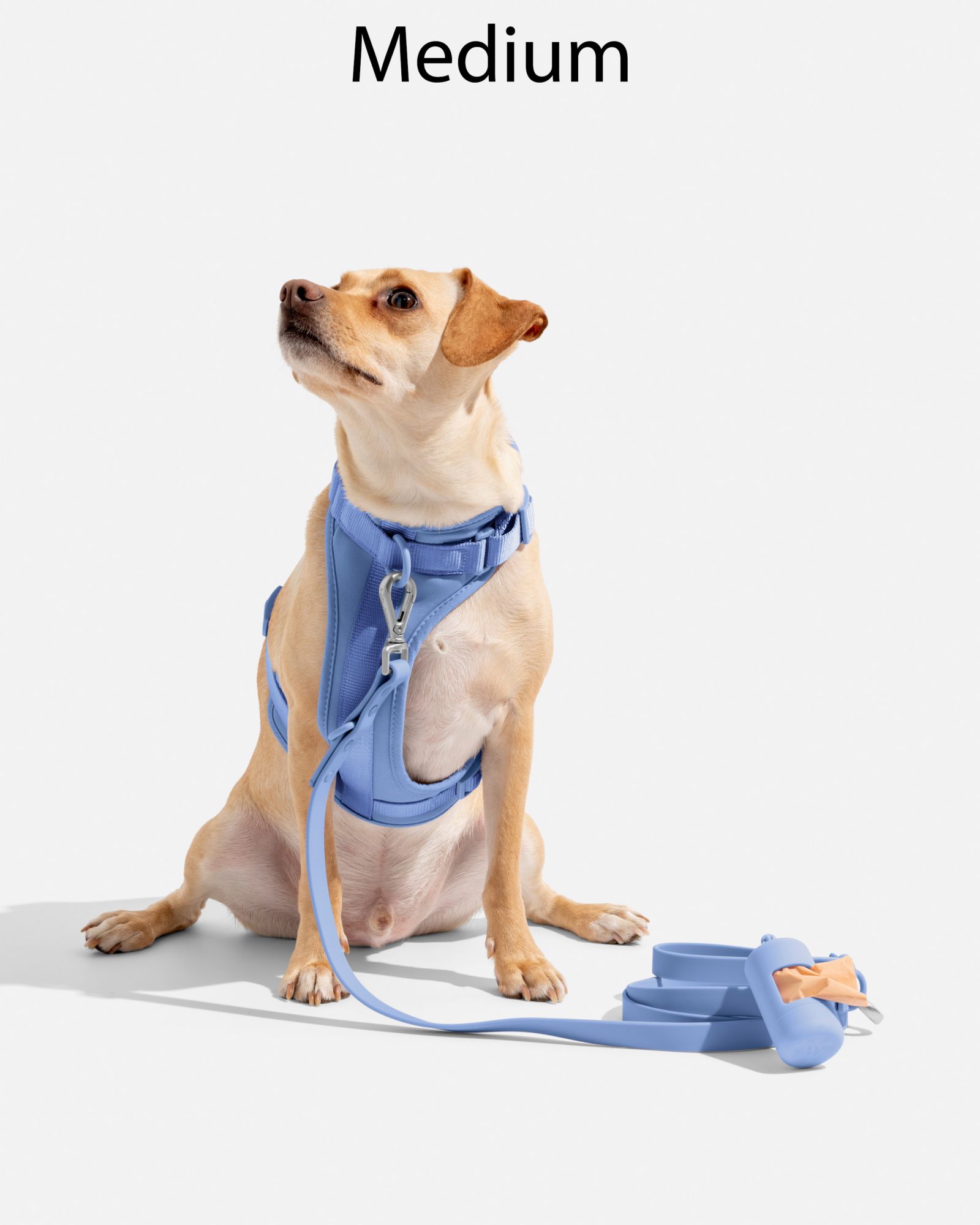 Wild One Adjustable Cushioned Dog Harness product image