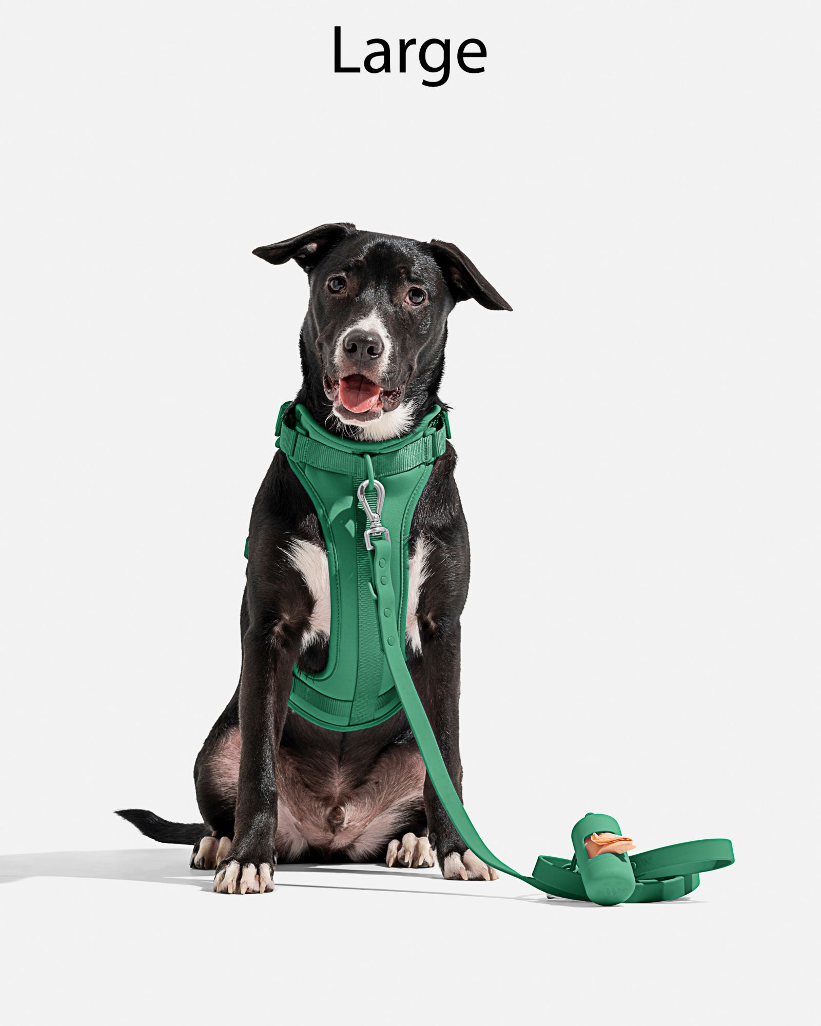 Wild One Adjustable Cushioned Dog Harness product image