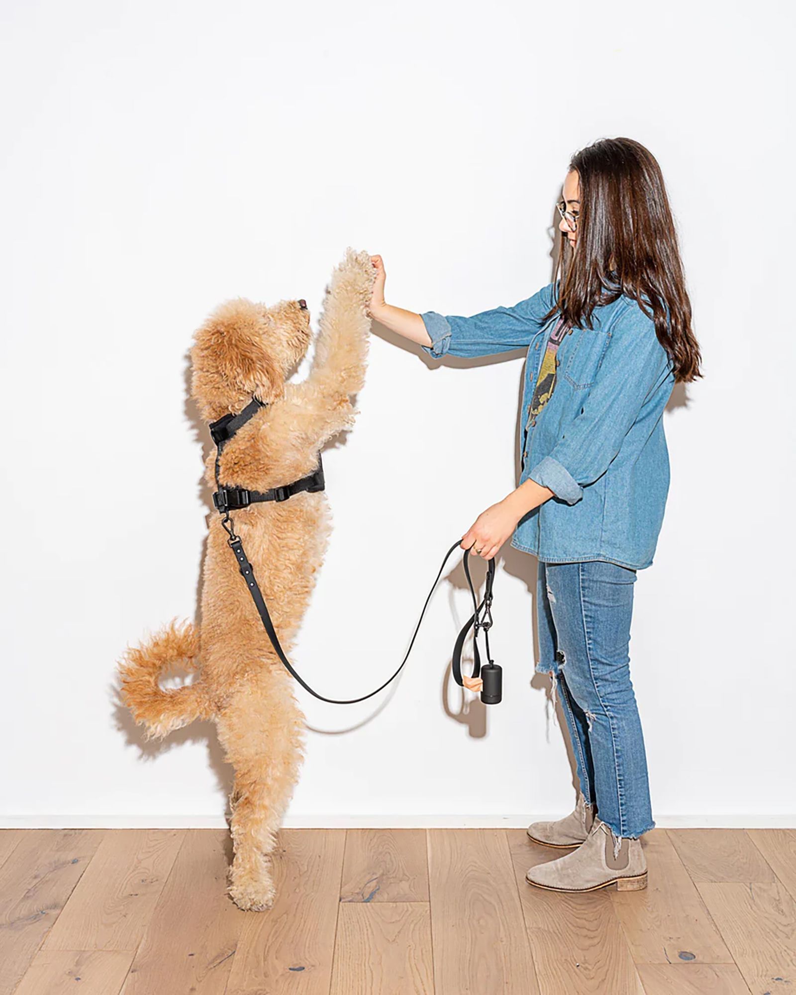 Wild One Standard Adjustable Dog leash product image