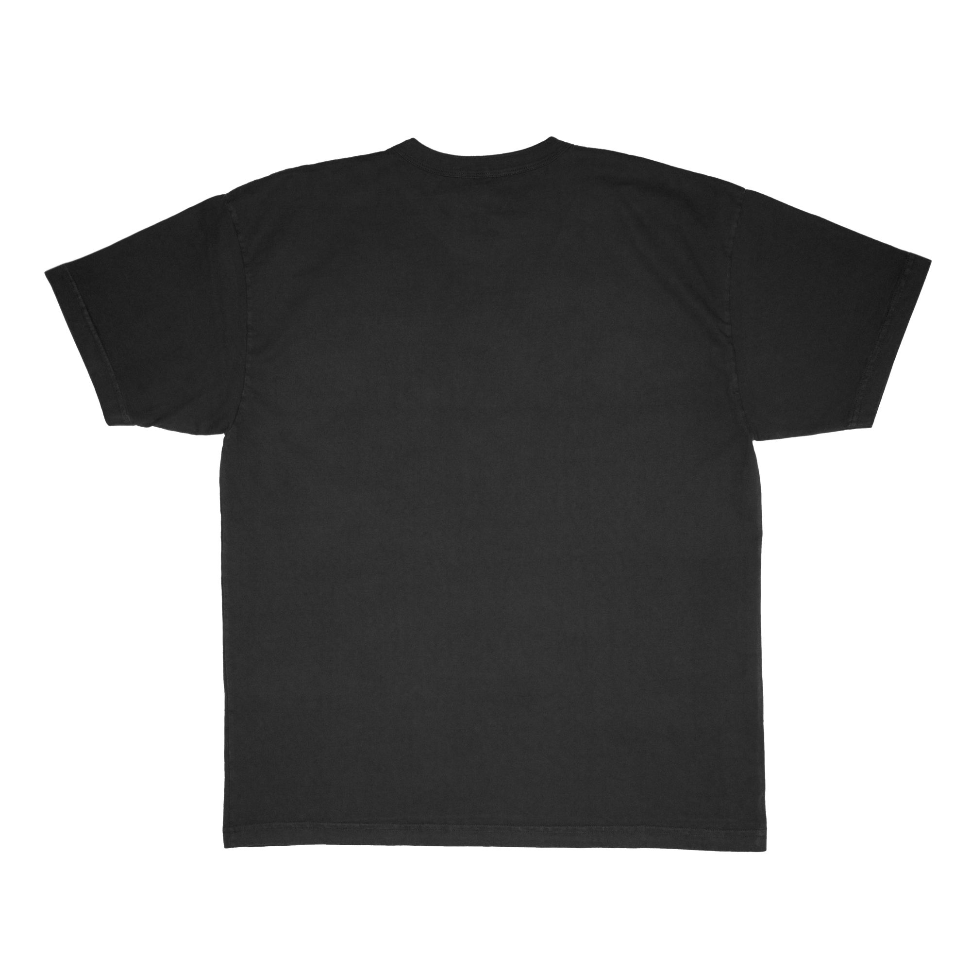 PLAYA SOCIETY Adult Seattle Storm T-Shirt product image