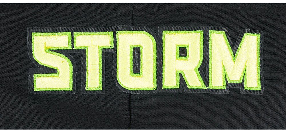 Pro Standard Women's Seattle Storm Black Wingspan Cropped Hoodie product image