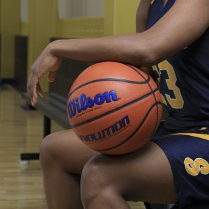 Wilson Evolution Color Game Basketball product image