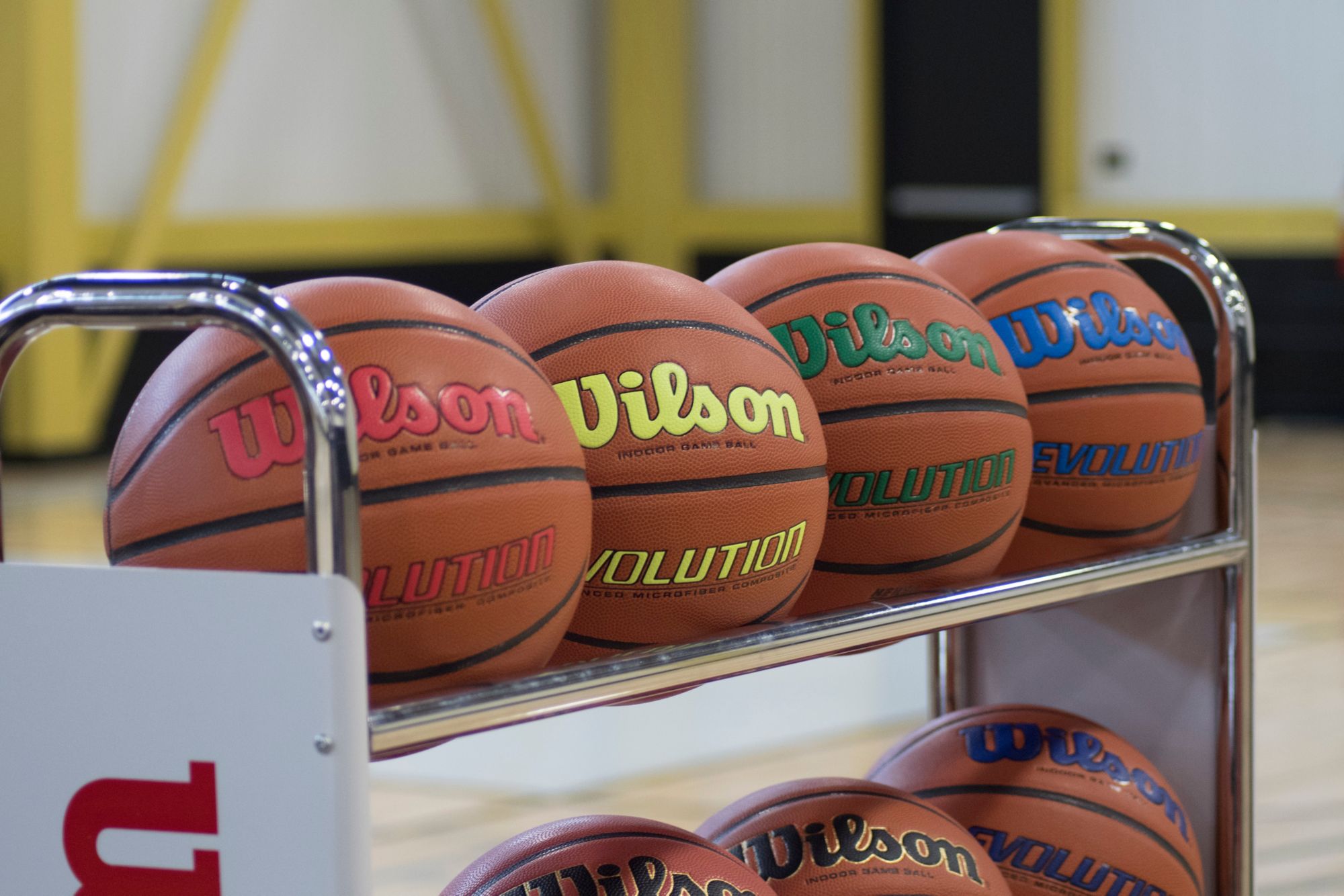 Wilson Evolution Color Game Basketball product image