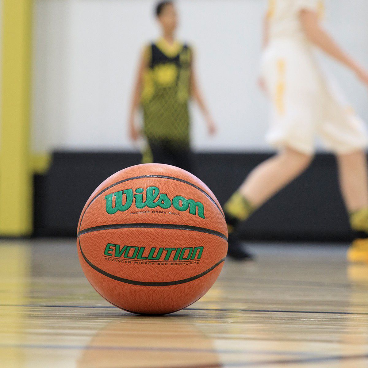 Wilson Evolution Color Game Basketball product image