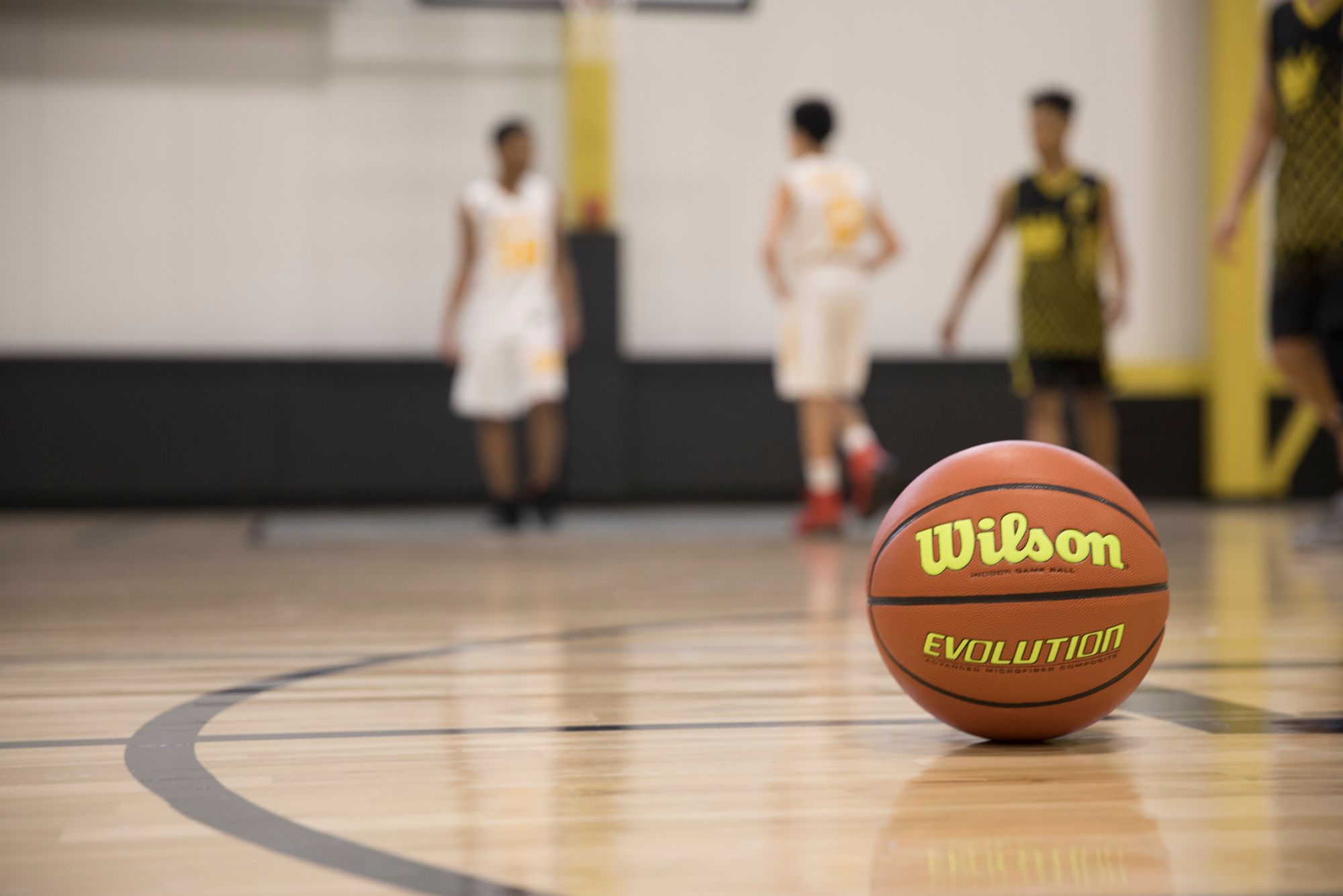 Wilson Evolution Color Game Basketball product image