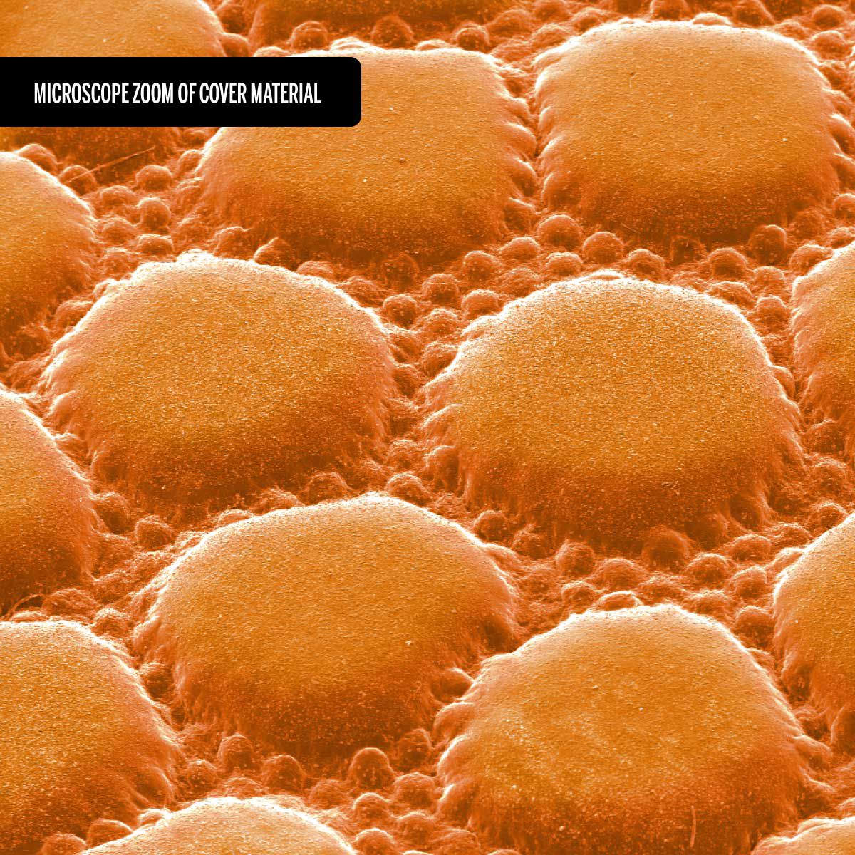 wilson evo nxt basketball 29.5