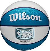 Wilson Charlotte Hornets Retro Mini Basketball product image