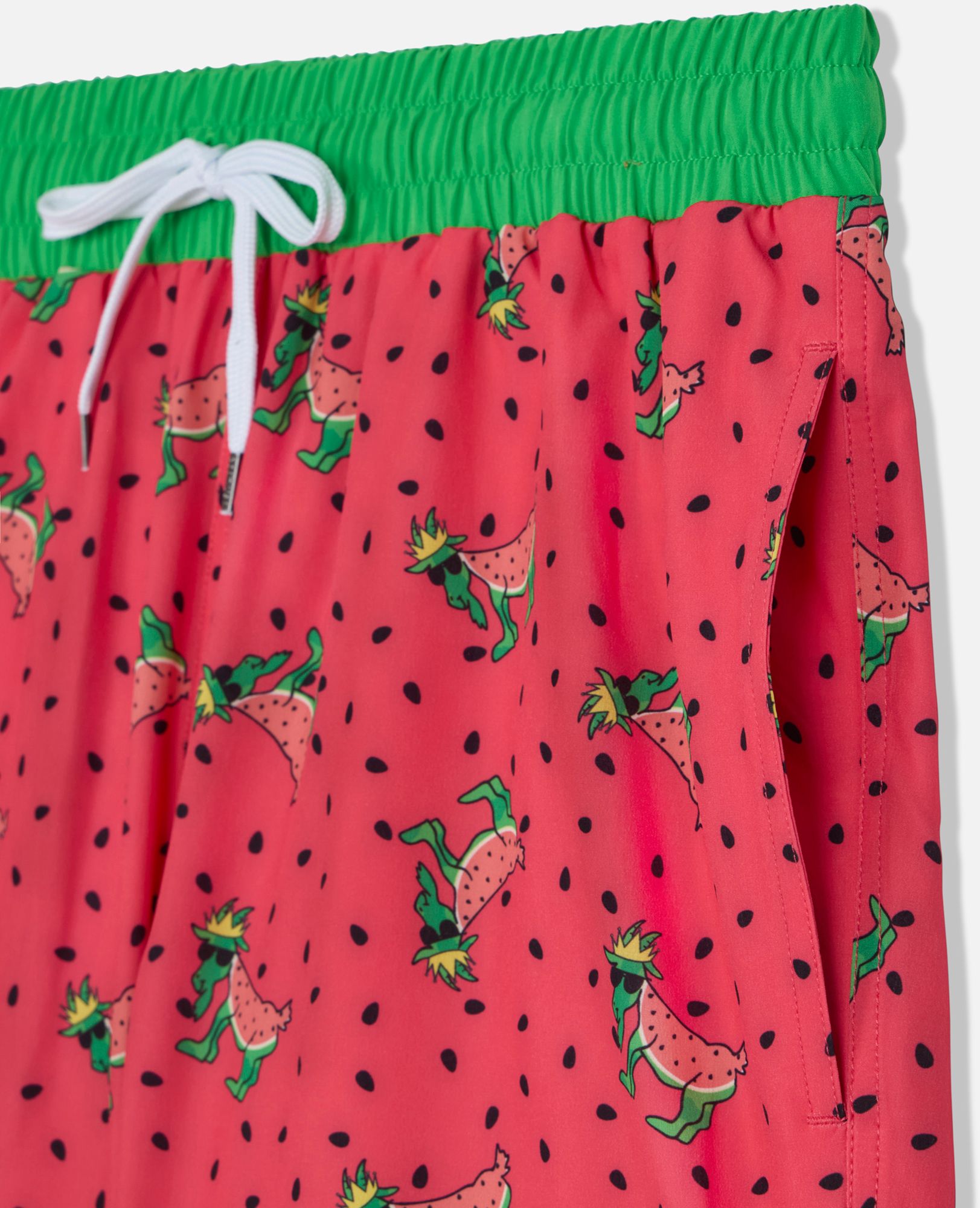 GOAT USA Boys' Watermelon Bathing Suit product image
