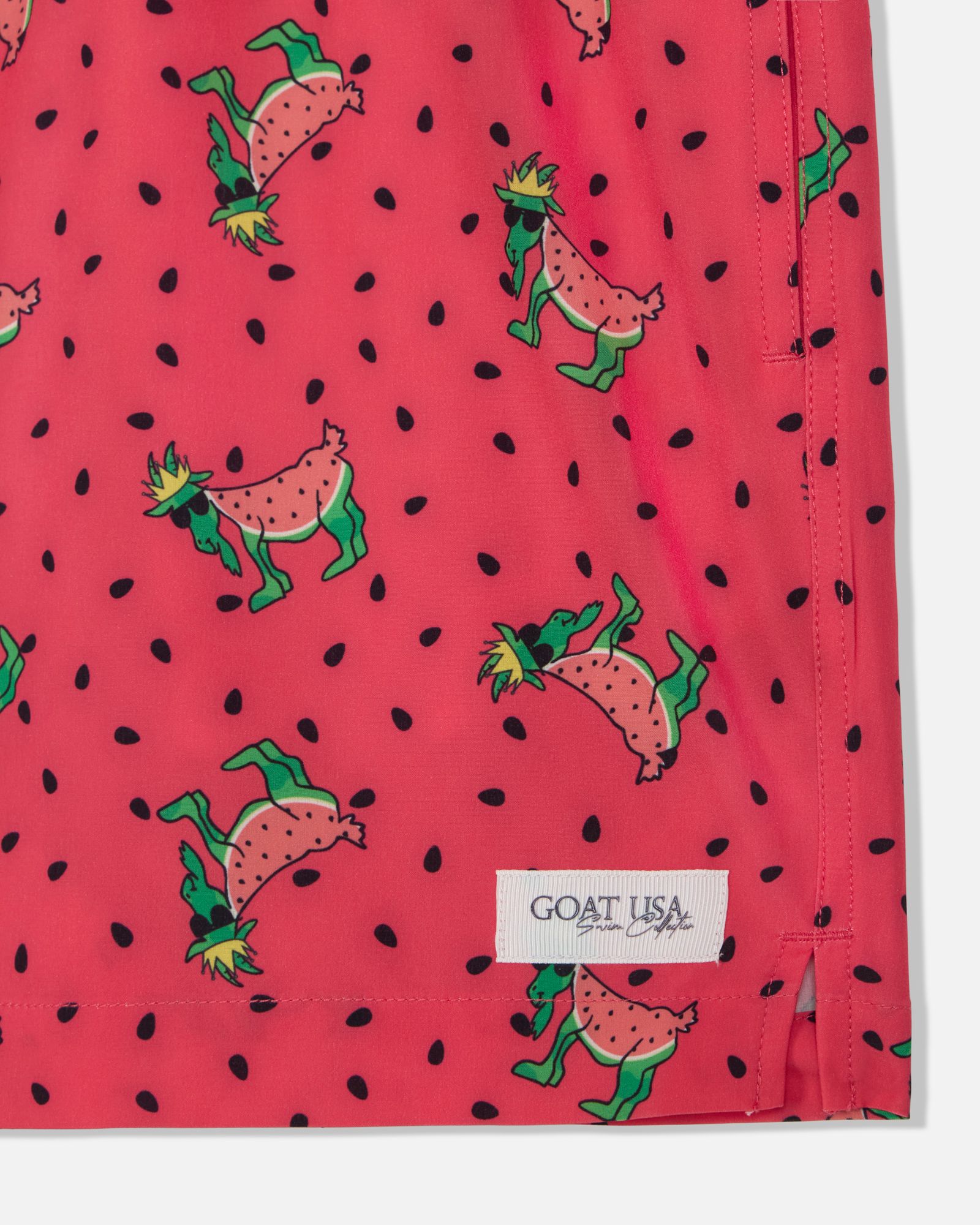 GOAT USA Boys' Watermelon Bathing Suit product image