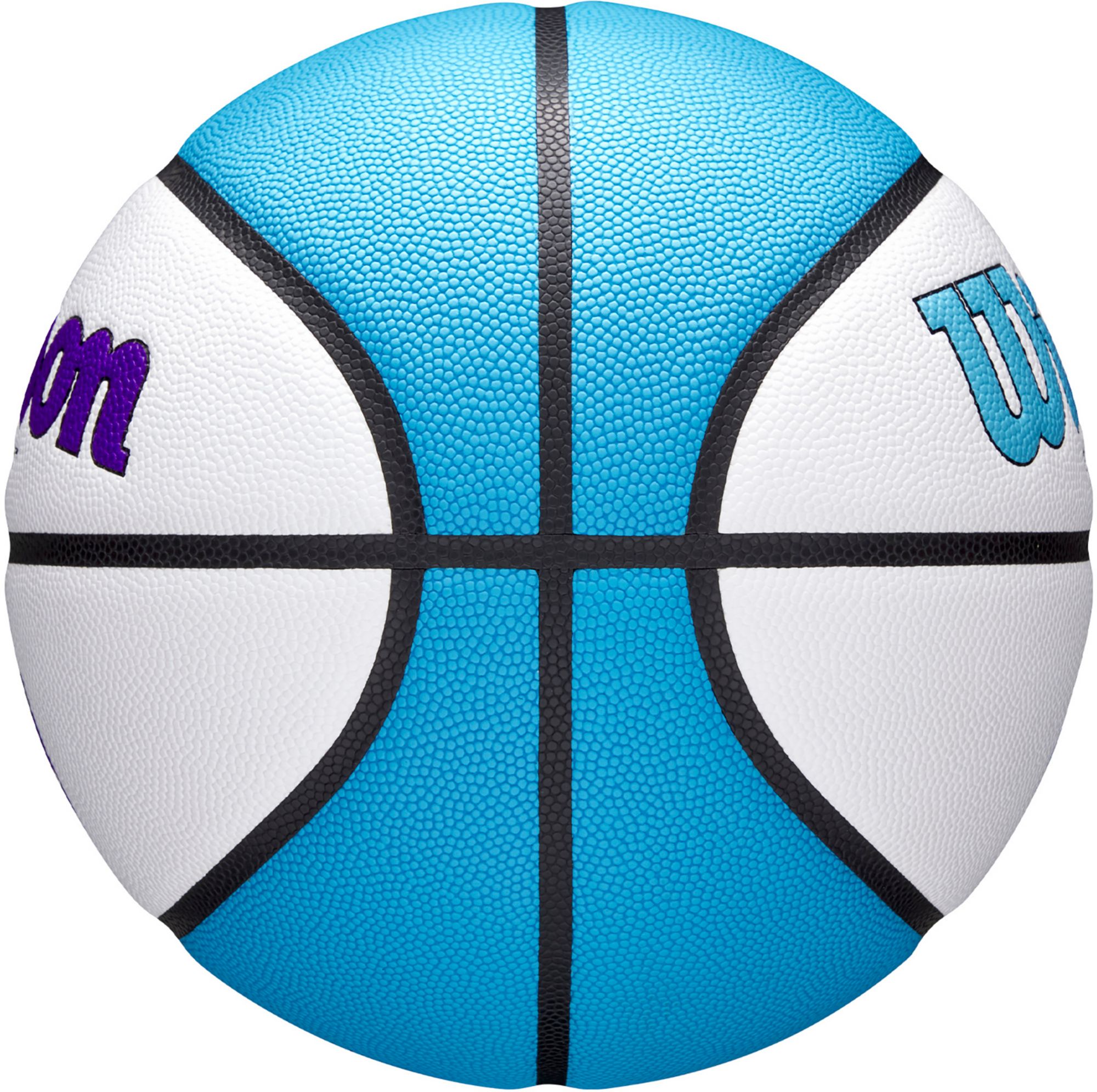 Wilson Evo NXT Unrivaled Edition Indoor Basketball product image