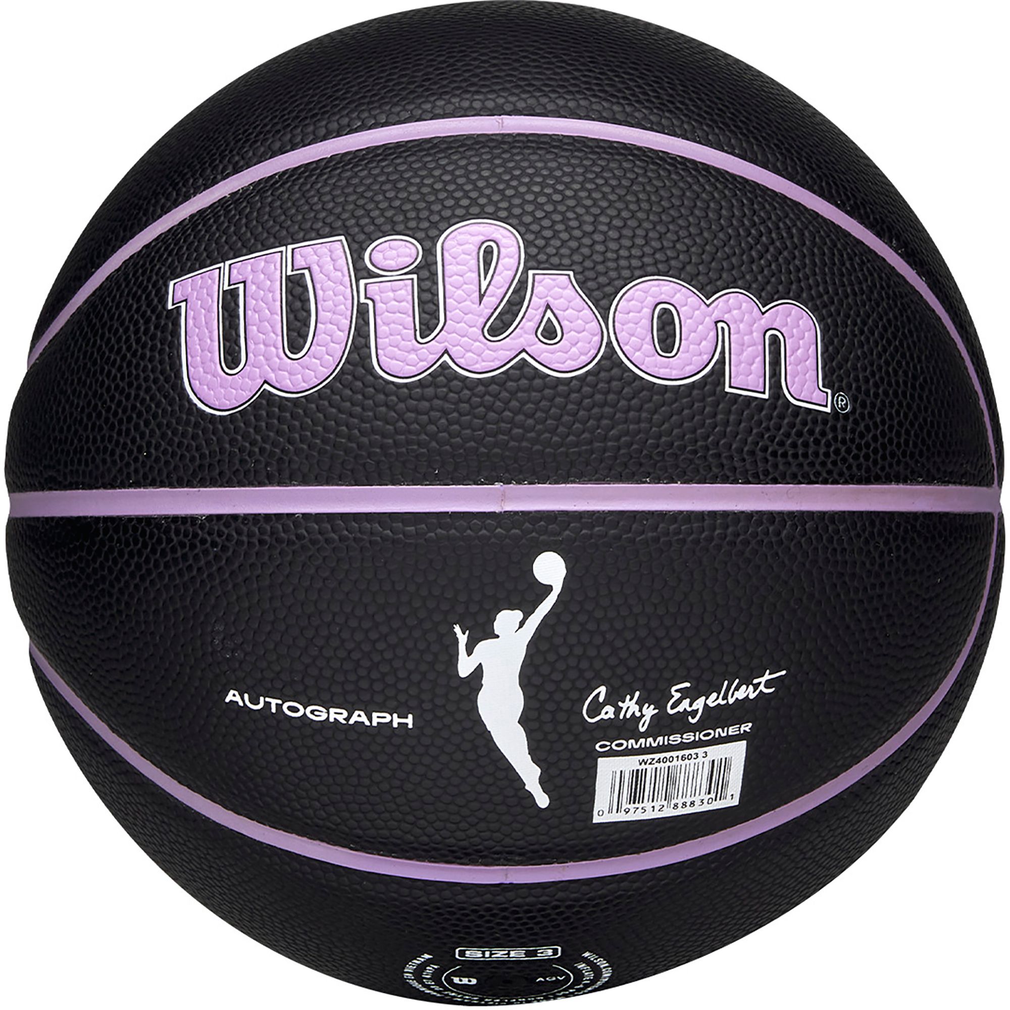 Wilson Golden State Valkyries Autograph Mini Basketball product image