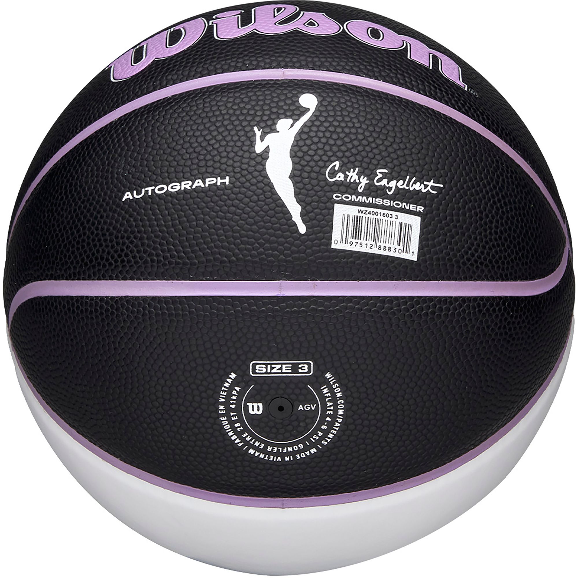 Wilson Golden State Valkyries Autograph Mini Basketball product image
