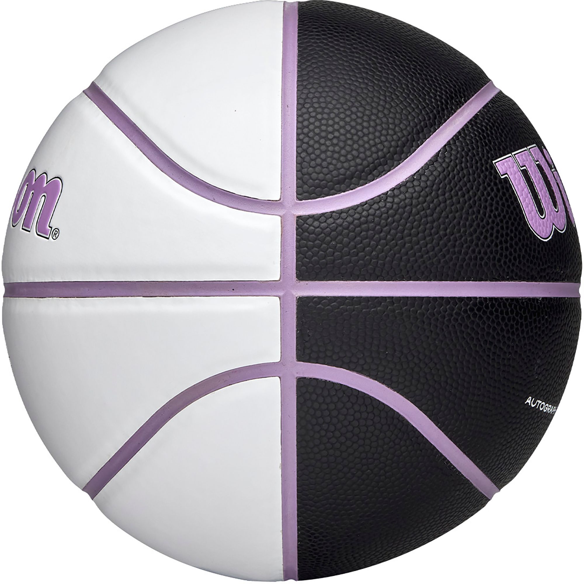 Wilson Golden State Valkyries Autograph Mini Basketball product image