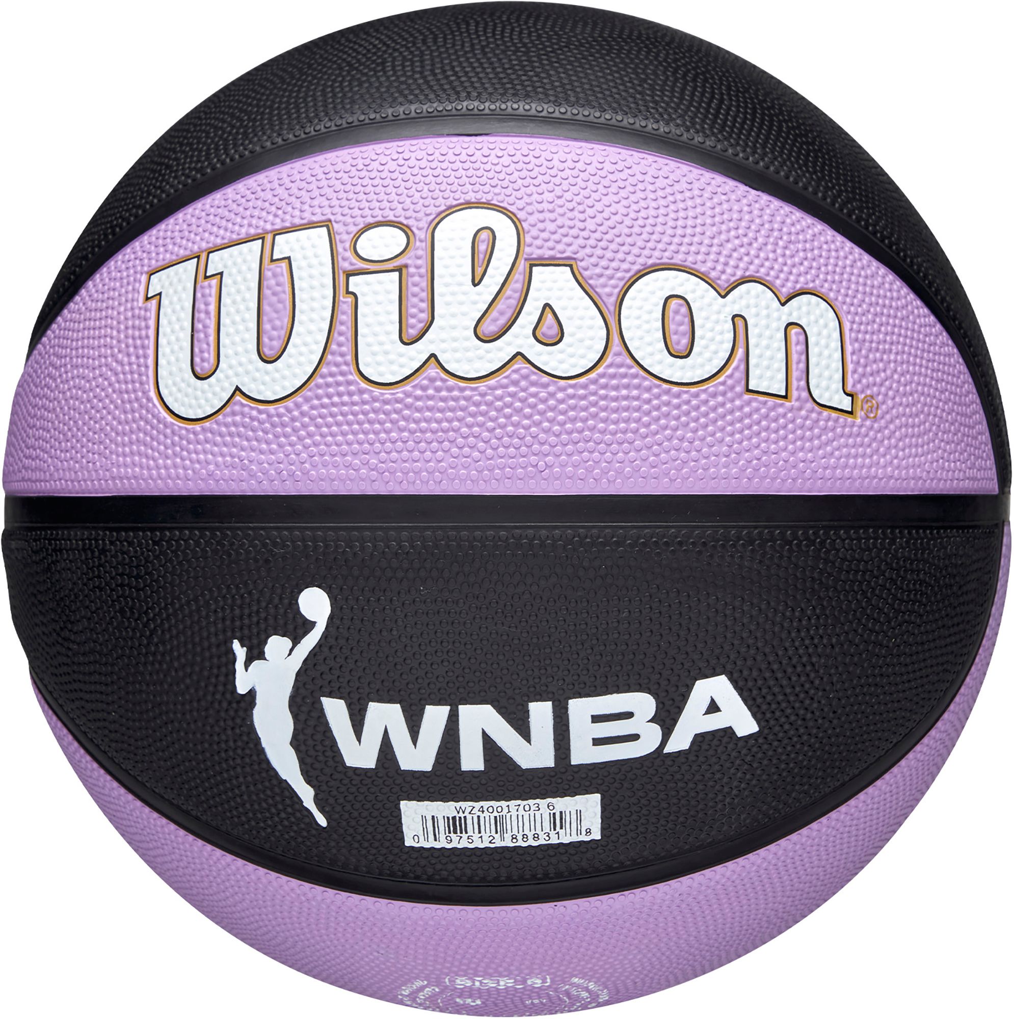 Wilson Golden State Valkyries Team Tribute Basketball product image
