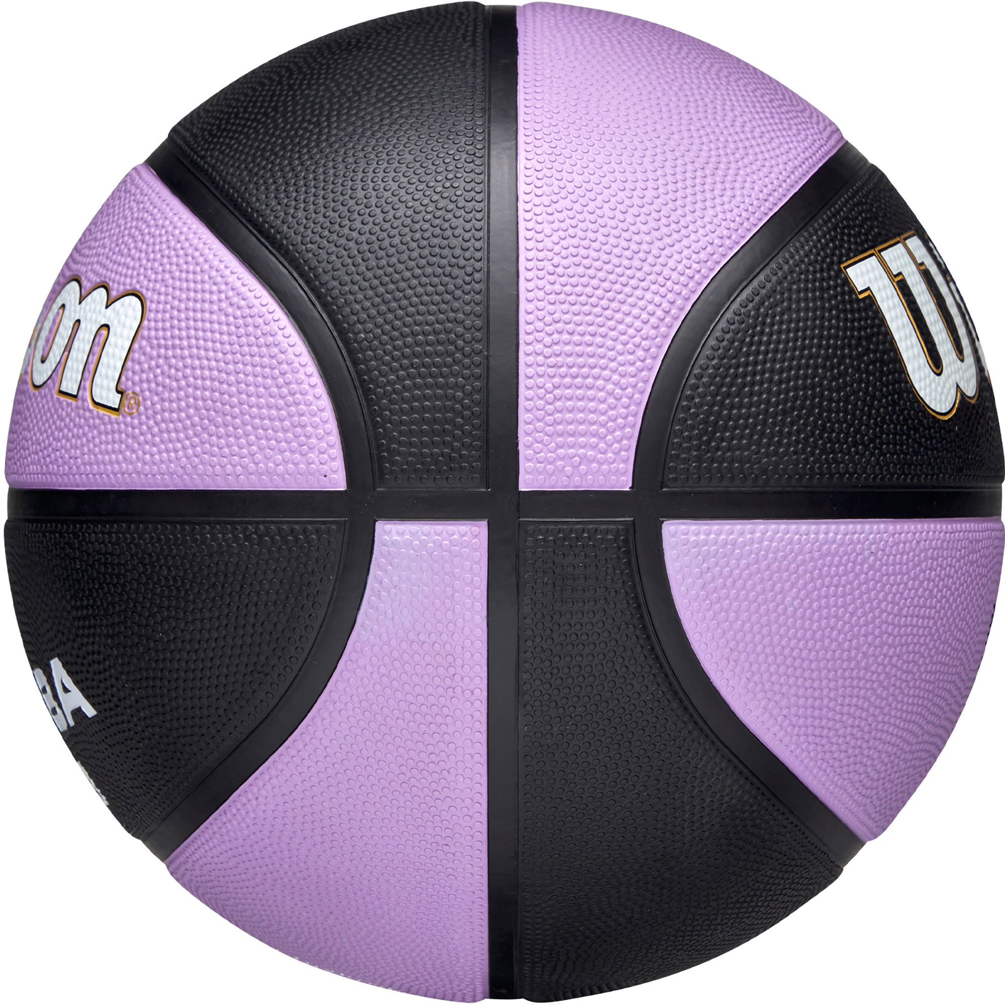 Wilson Golden State Valkyries Team Tribute Basketball product image