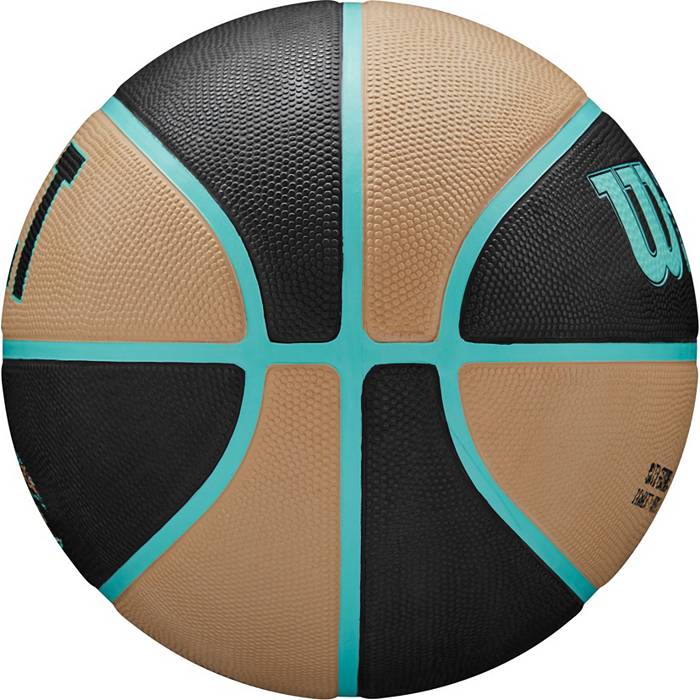 Youth Nike LaMelo Ball Black Charlotte Hornets 2022/23 Swingman Jersey -  City Edition
