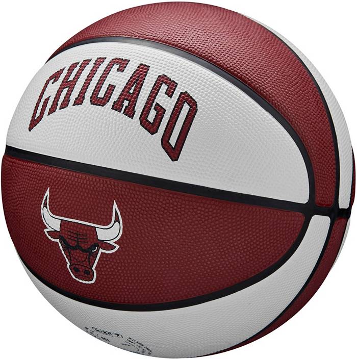 Nike Skills Chicago Basketball (Size 3)