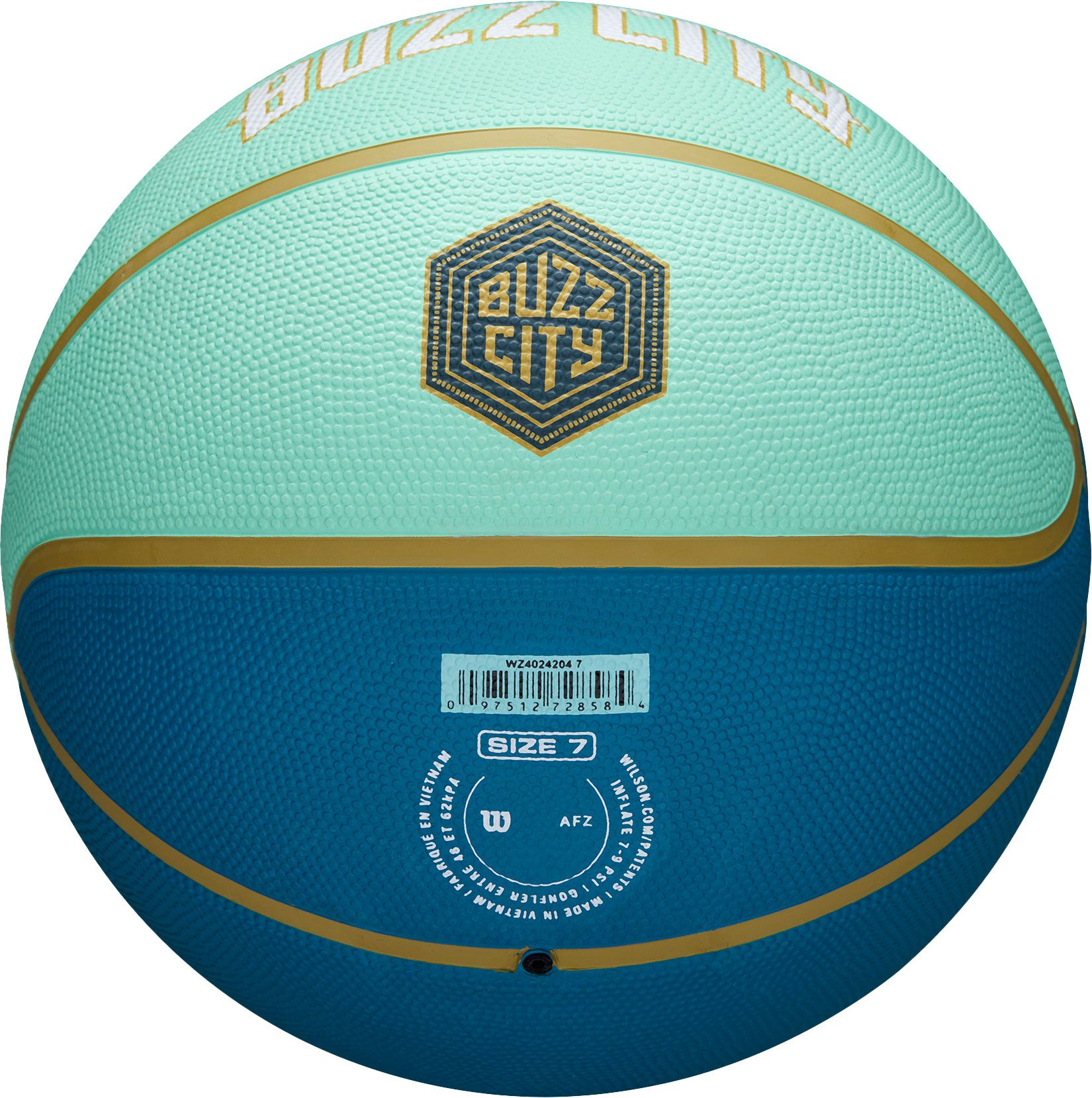 Wilson 2023-24 City Edition Charlotte Hornets Full Size Icon Basketball