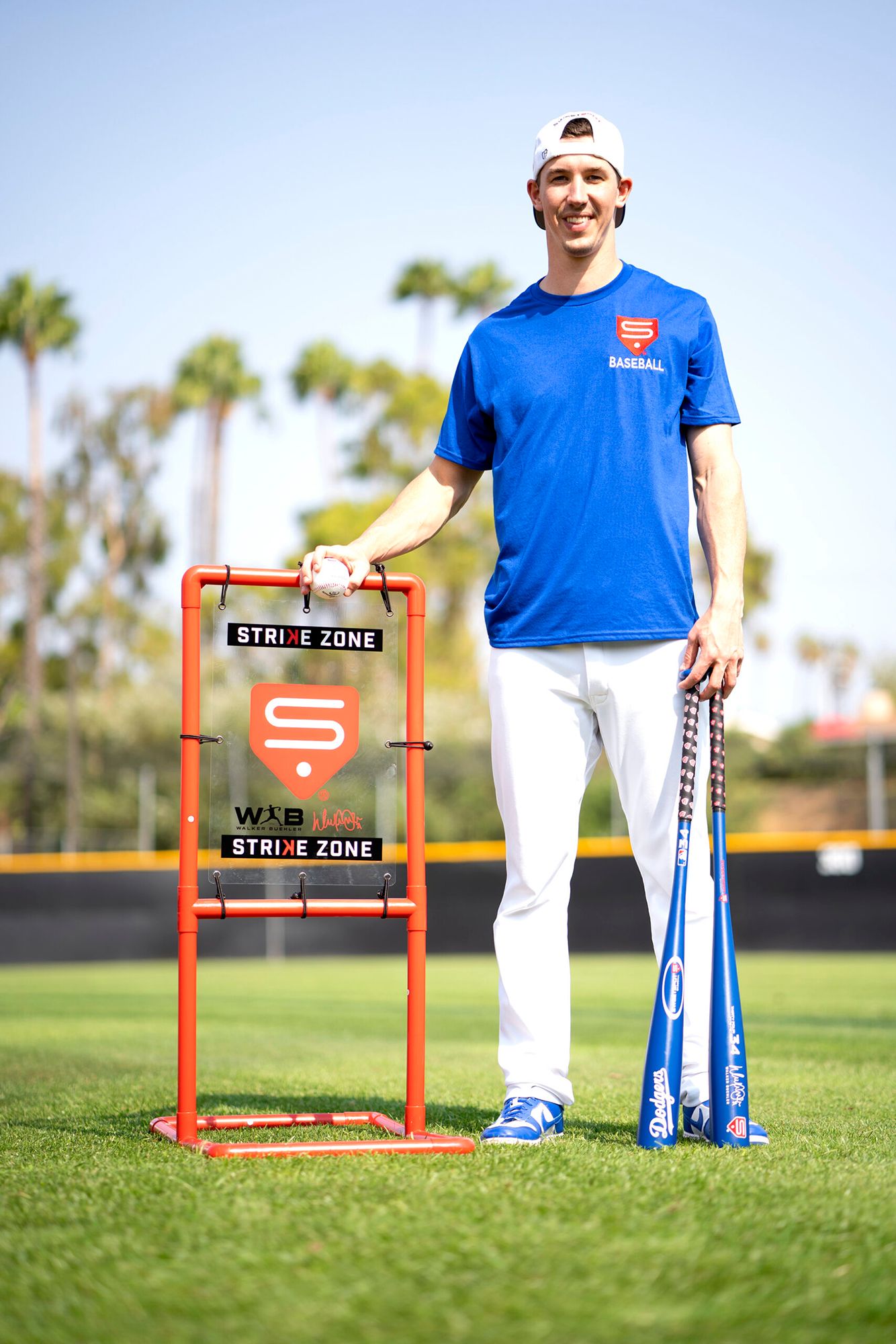 SweetSpot Baseball Strike Zone product image