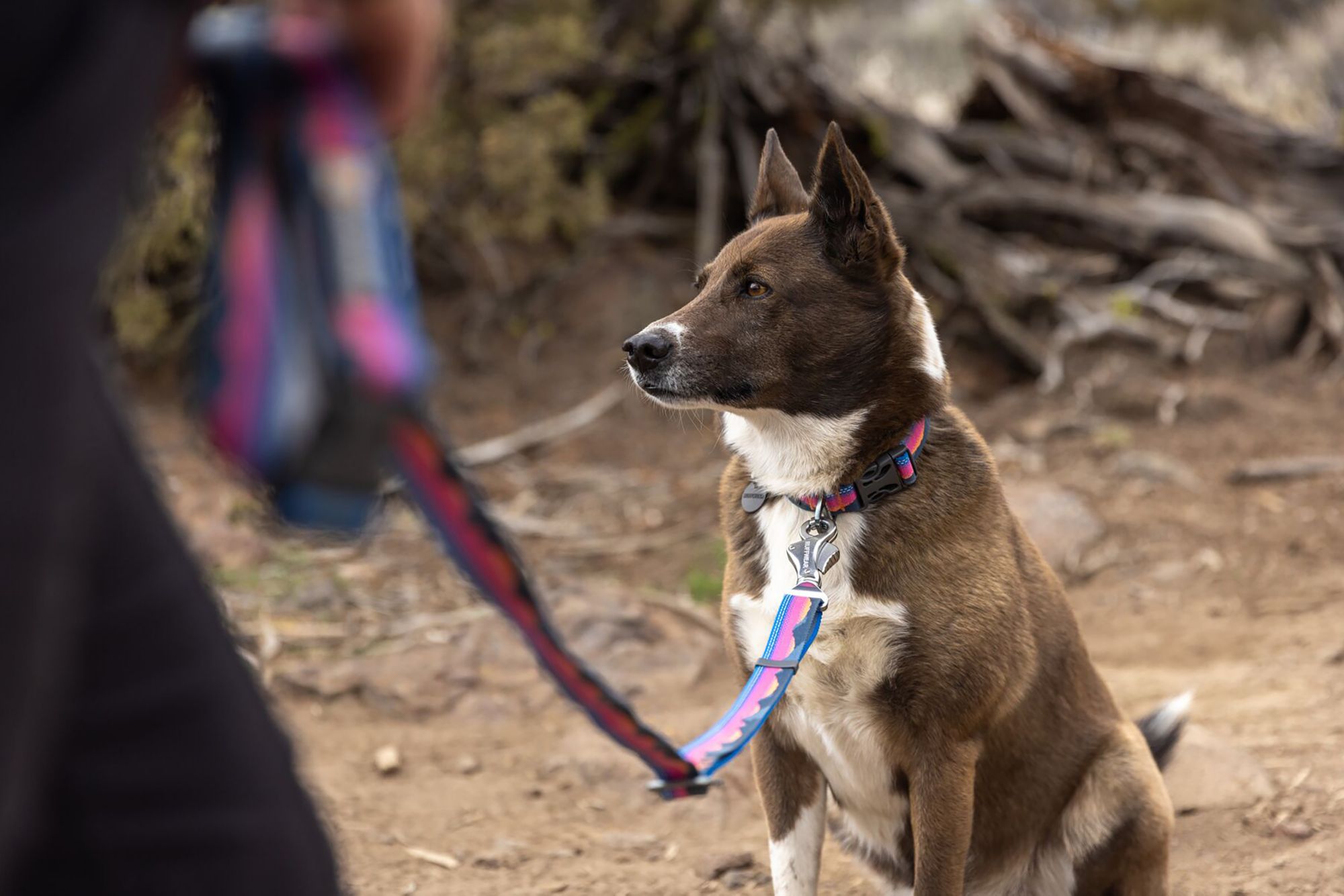 Ruffwear Crag Leash product image