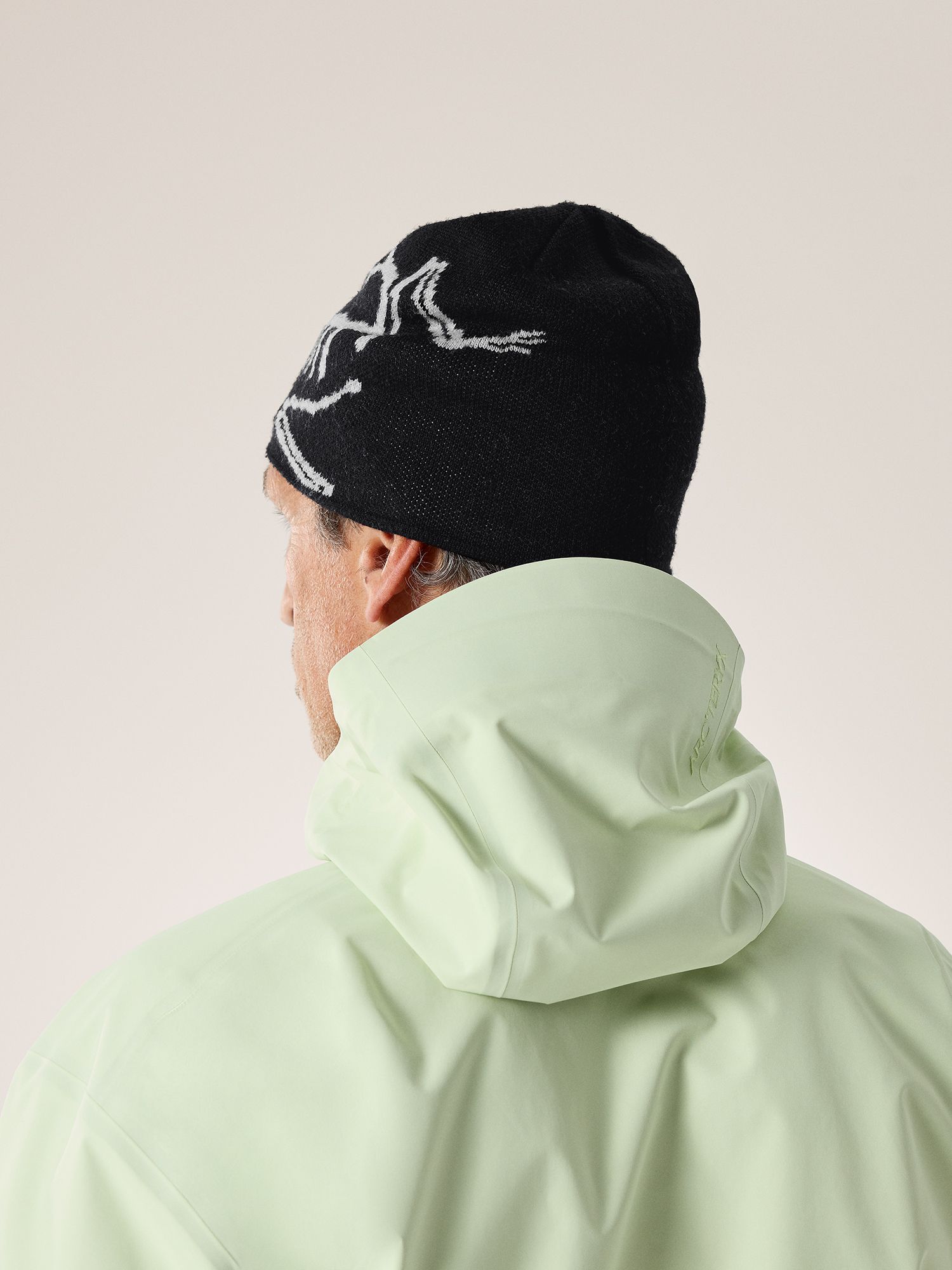 Arc'teryx Bird Head Toque product image