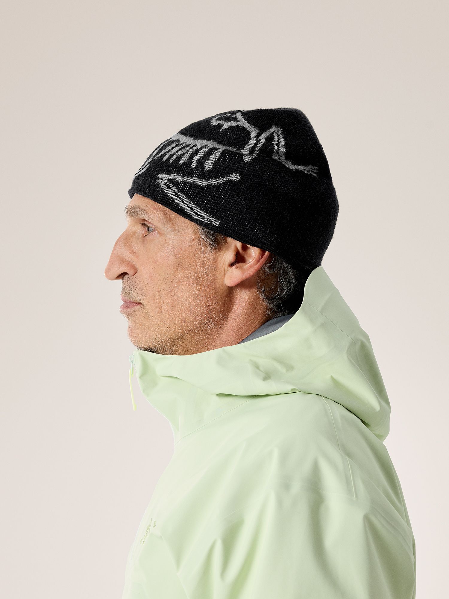 Arc'teryx Bird Head Toque product image