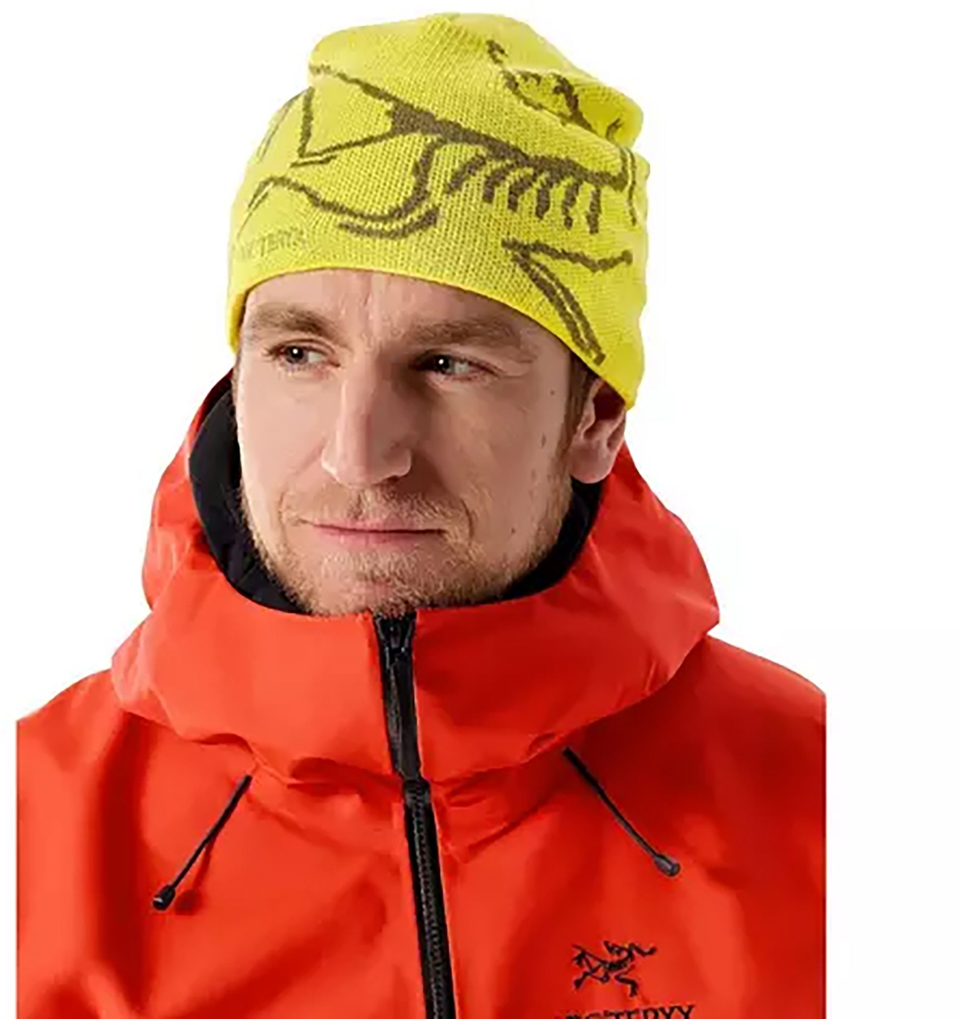 Arc'teryx Bird Head Toque | Publiclands