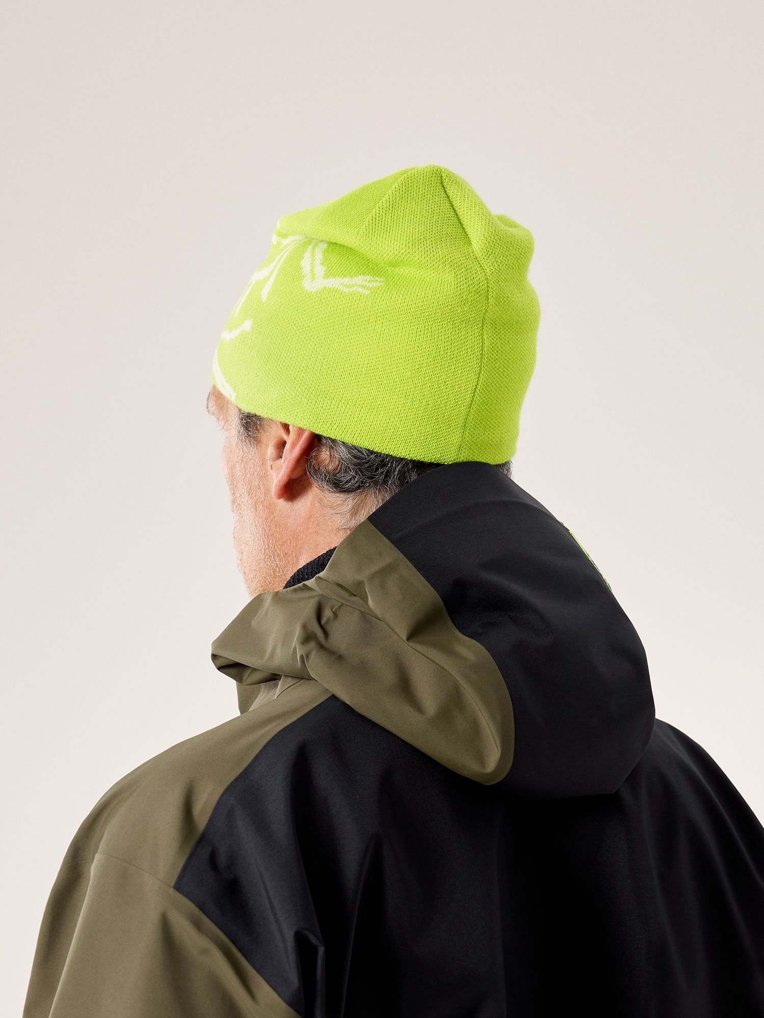 Arc'teryx Bird Head Toque product image