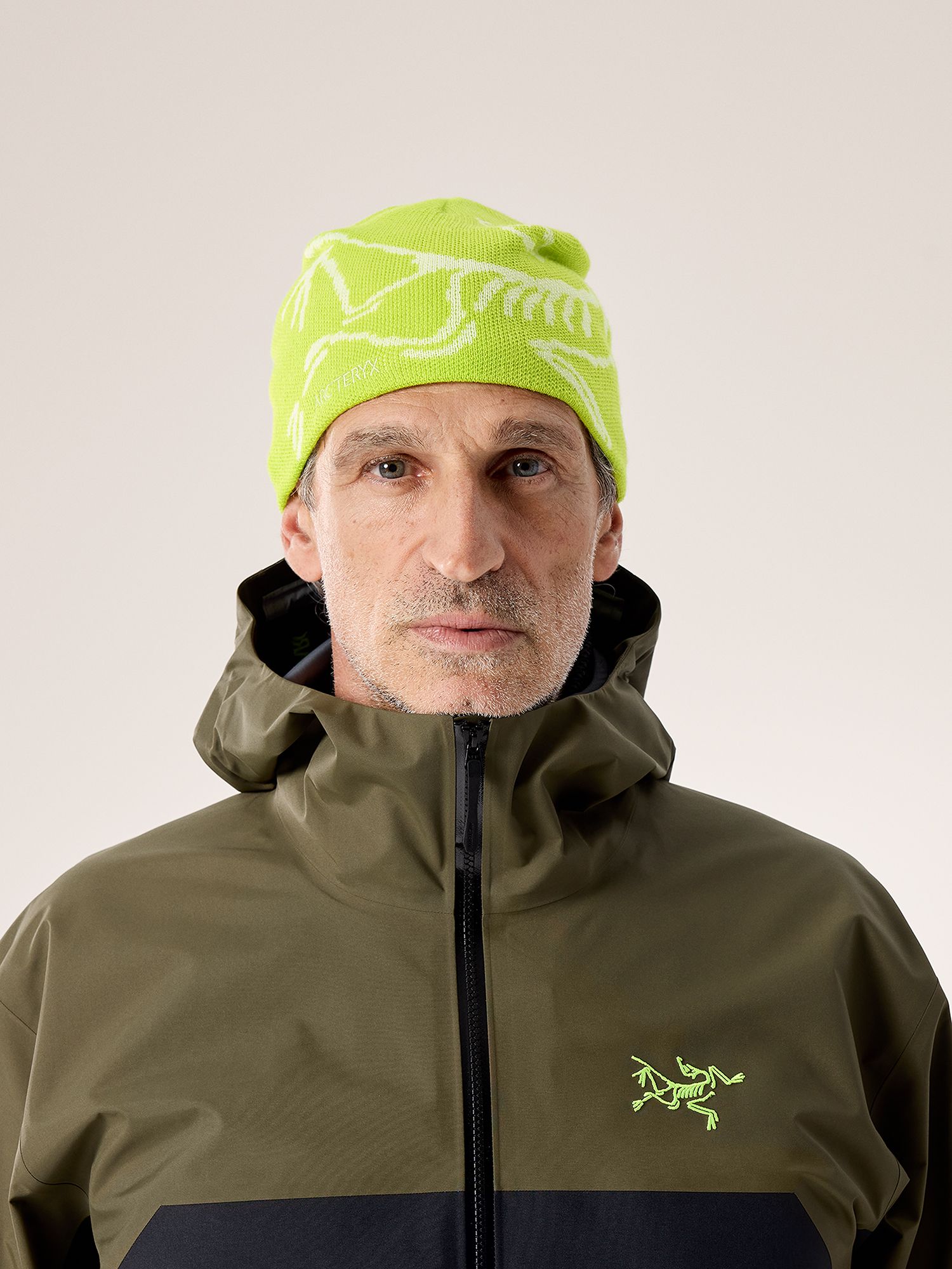 Arc'teryx Bird Head Toque product image