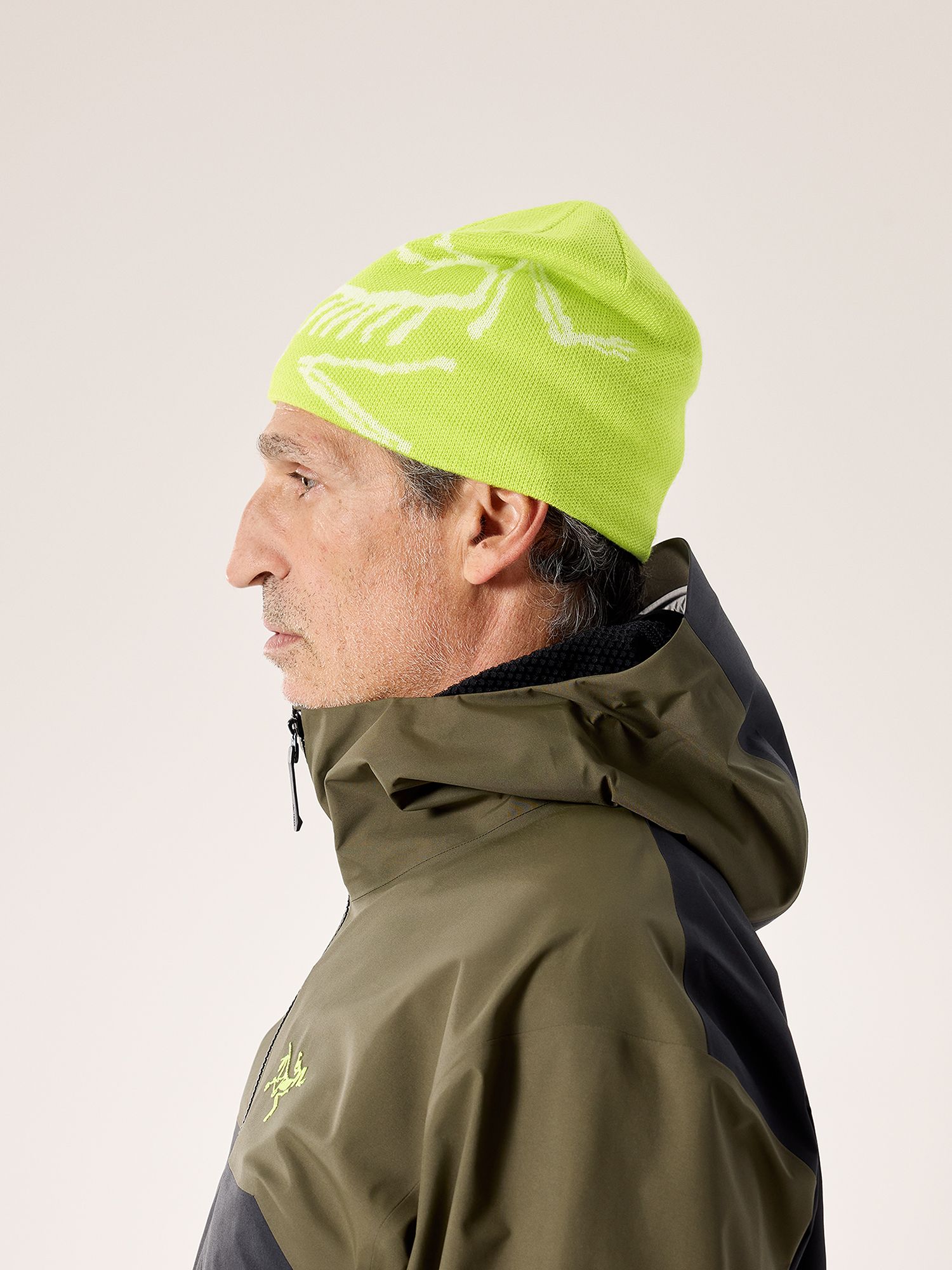 Arc'teryx Bird Head Toque product image