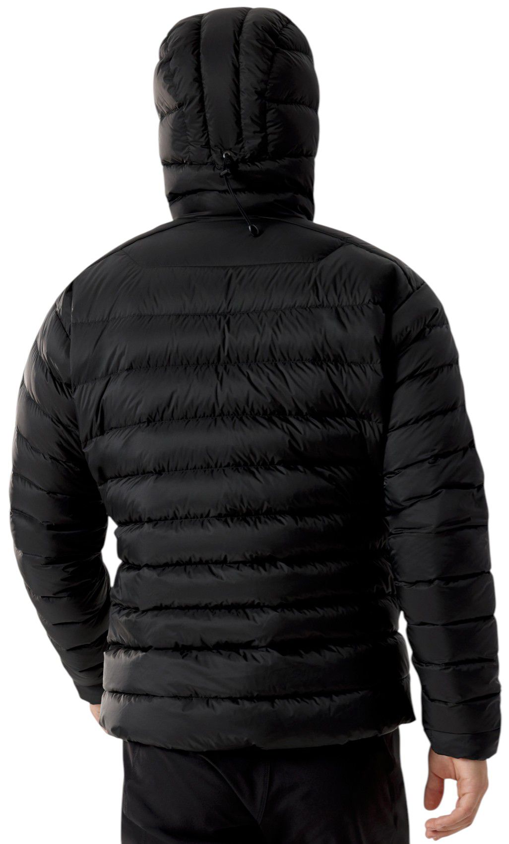 Arc'teryx Men's Cerium Hoody product image