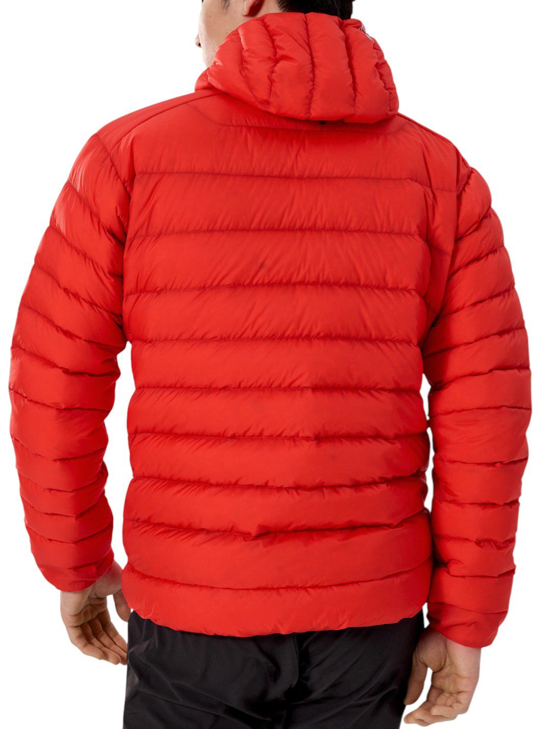 Arc'teryx Men's Cerium Hoody product image