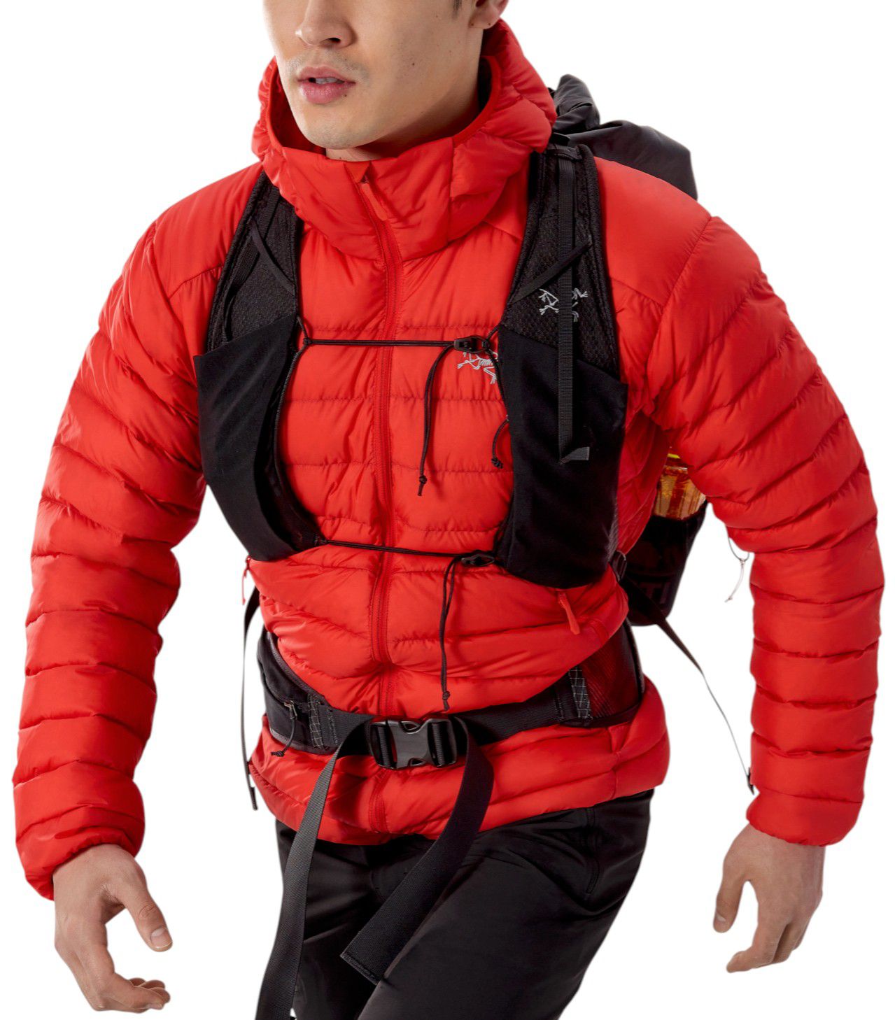 Arc'teryx Men's Cerium Hoody product image